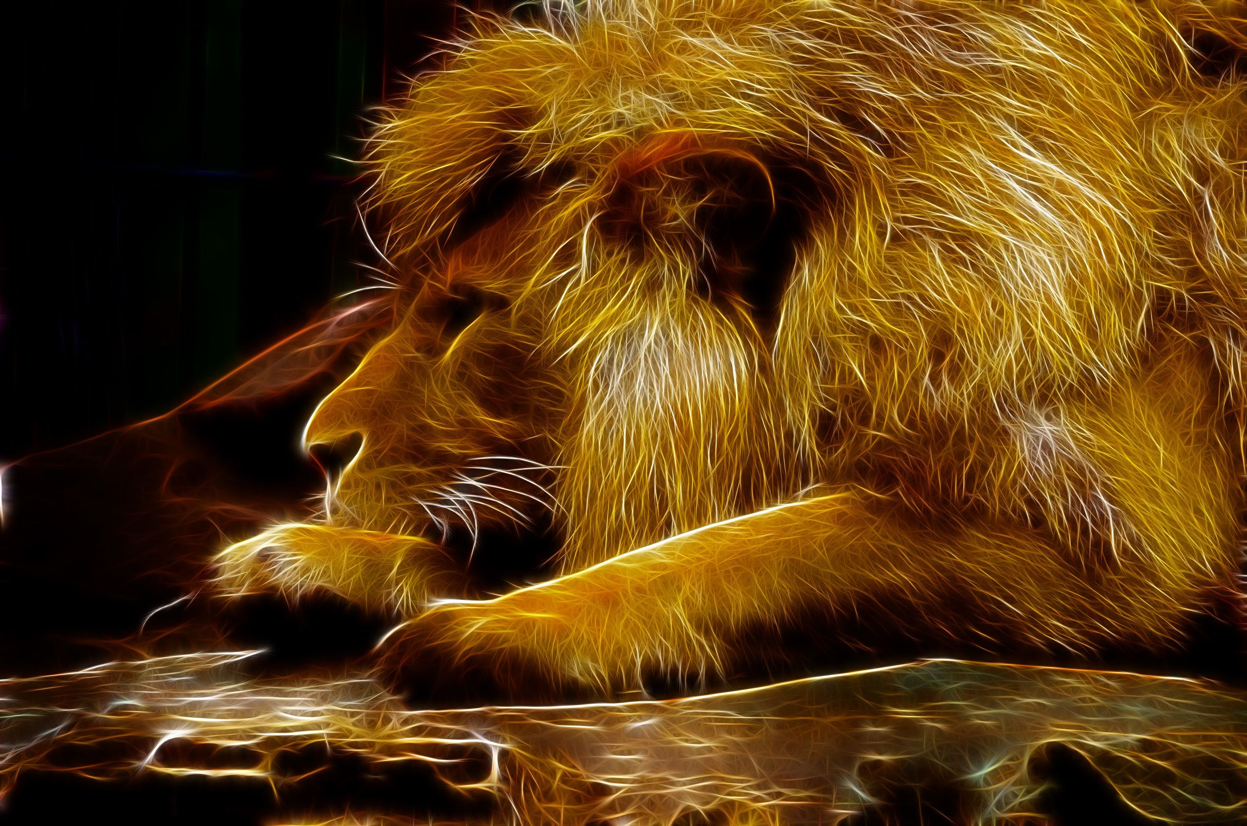 Photos lion Big cats 3D Graphics Animals 2560x1695