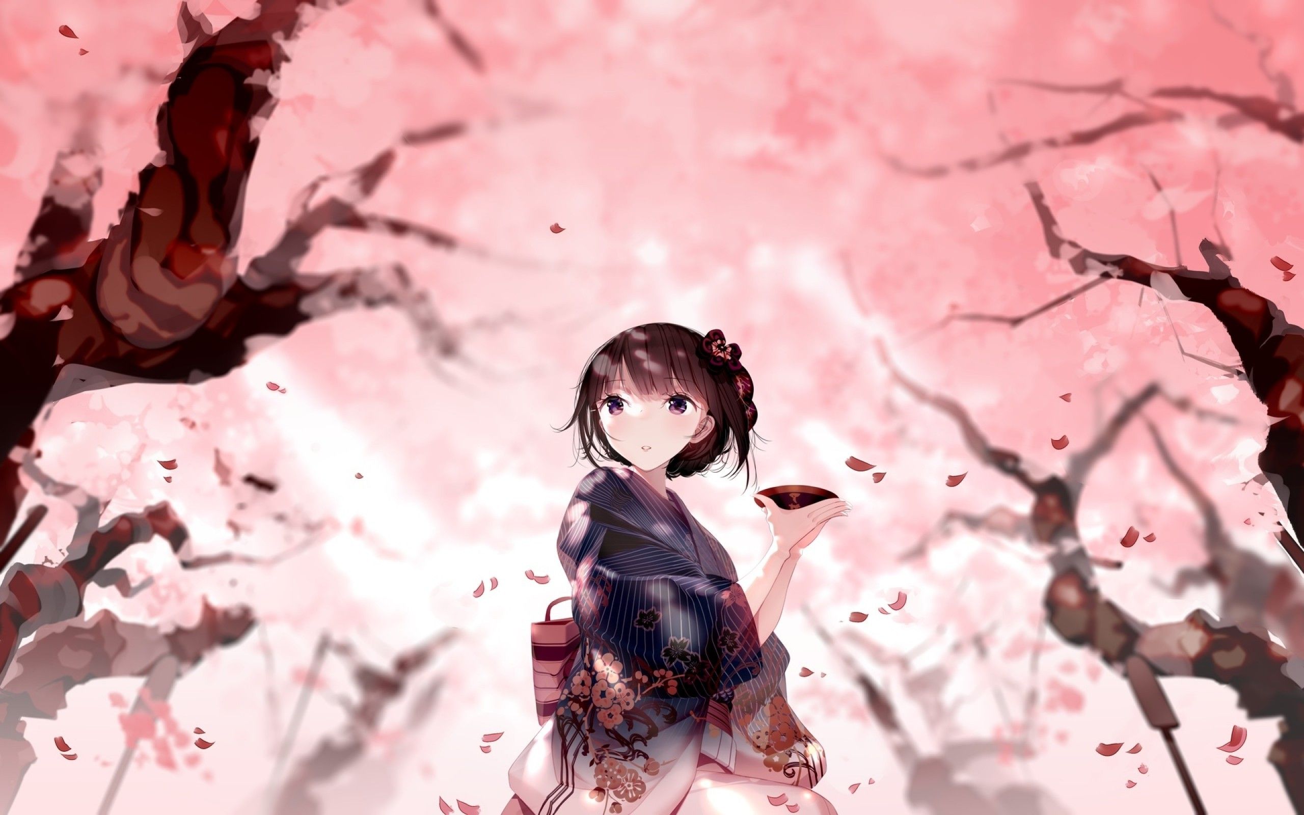 Download 2560x1600 Cherry Blossom, Anime Girl, Kimono, Scenic