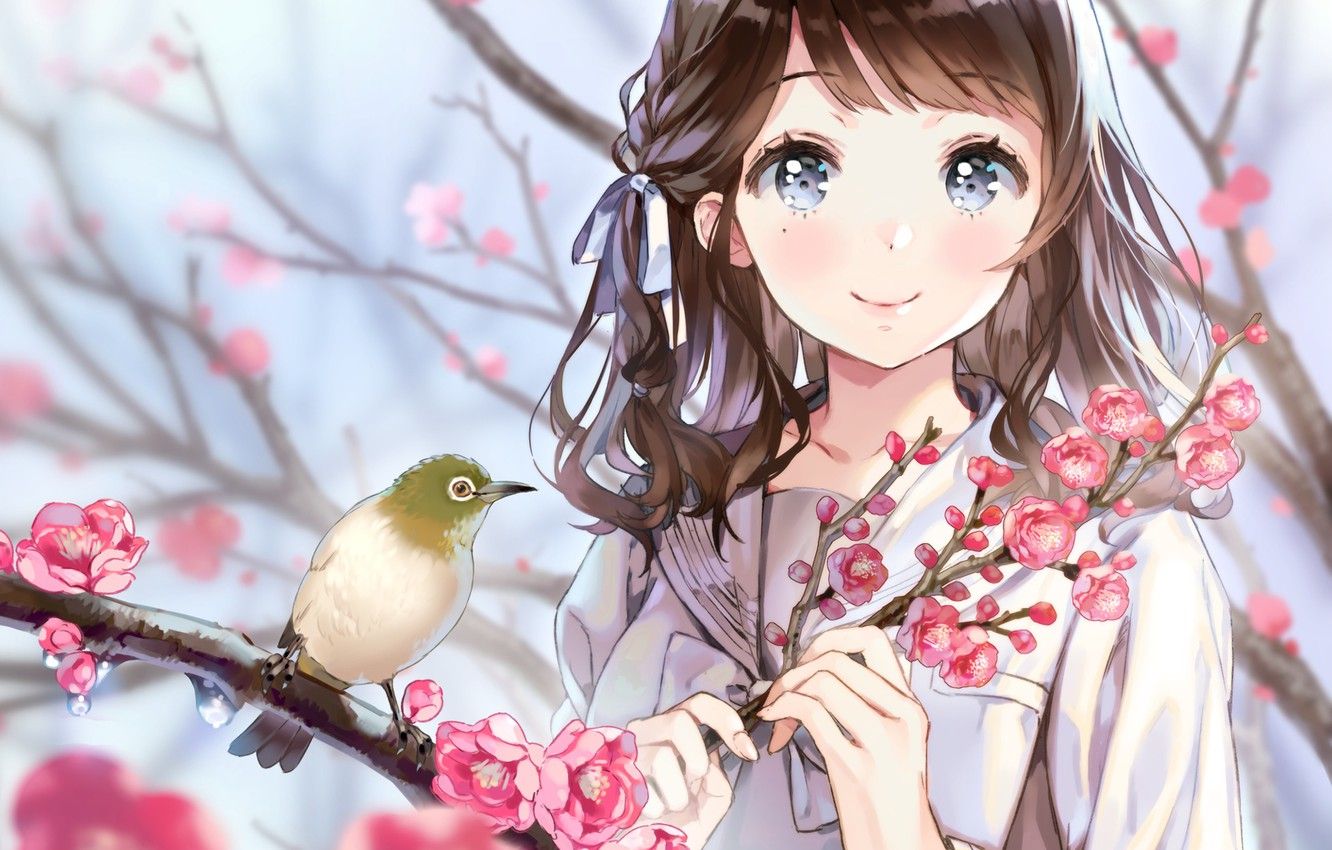 Wallpaper Look, Anime, Sakura, Girl, Bird, White Eyed Image For Desktop, Section арт