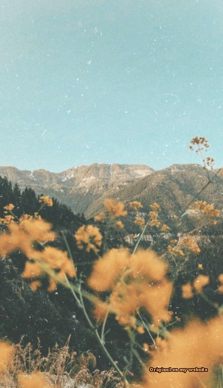 iPhone Wallpaper Vintage Aesthetics Aesthetic Wallpaper iPhone Wallpaper & Background Download