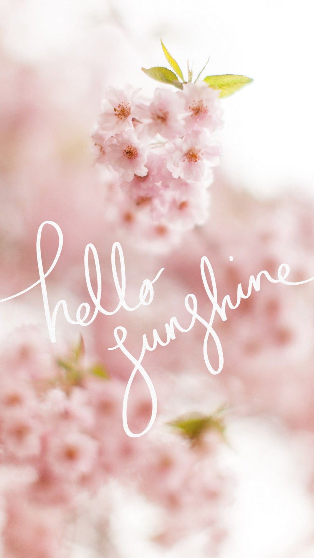 Cute Spring HD Wallpaper For Android Android Wallpaper