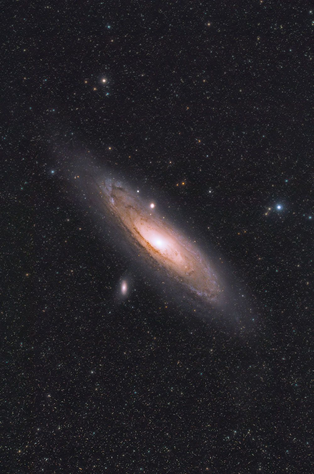 The Andromeda Galaxy. Image, Facts & Astrophotography Tips