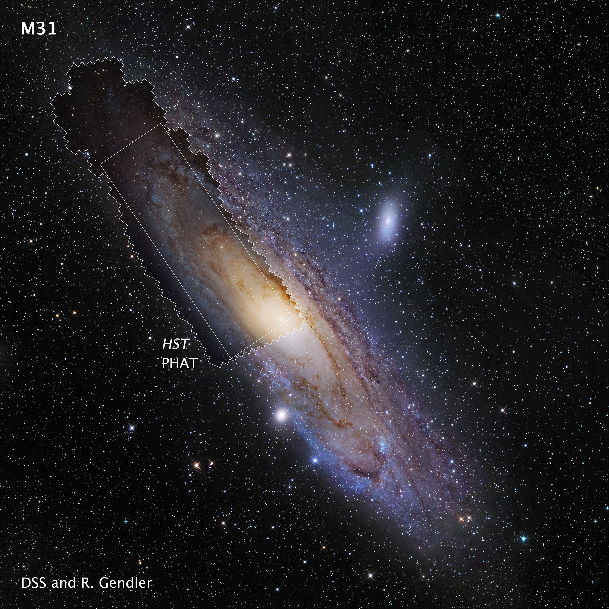 Messier 31 (The Andromeda Galaxy)