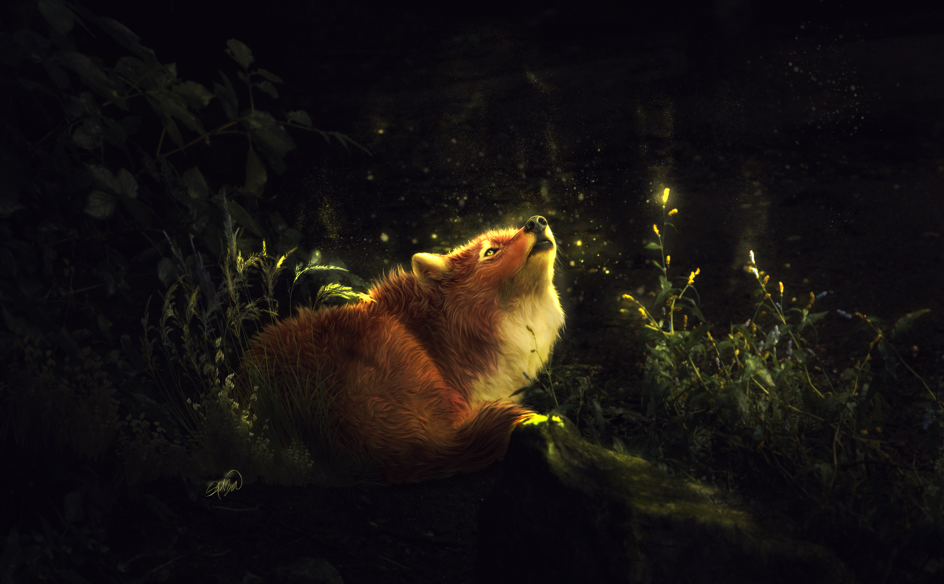 Fantasy Fox Fantasy Animals Artistic Animal Forest Light Firefly