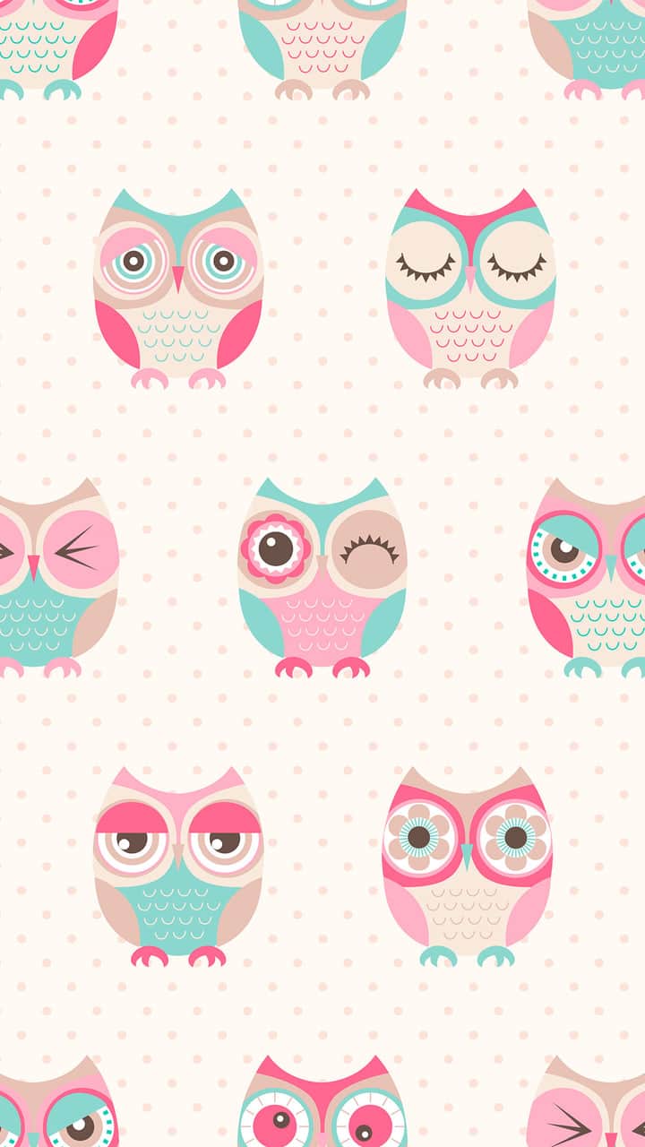 Owl, Wallpaper, And Background Image Owls, HD Wallpaper