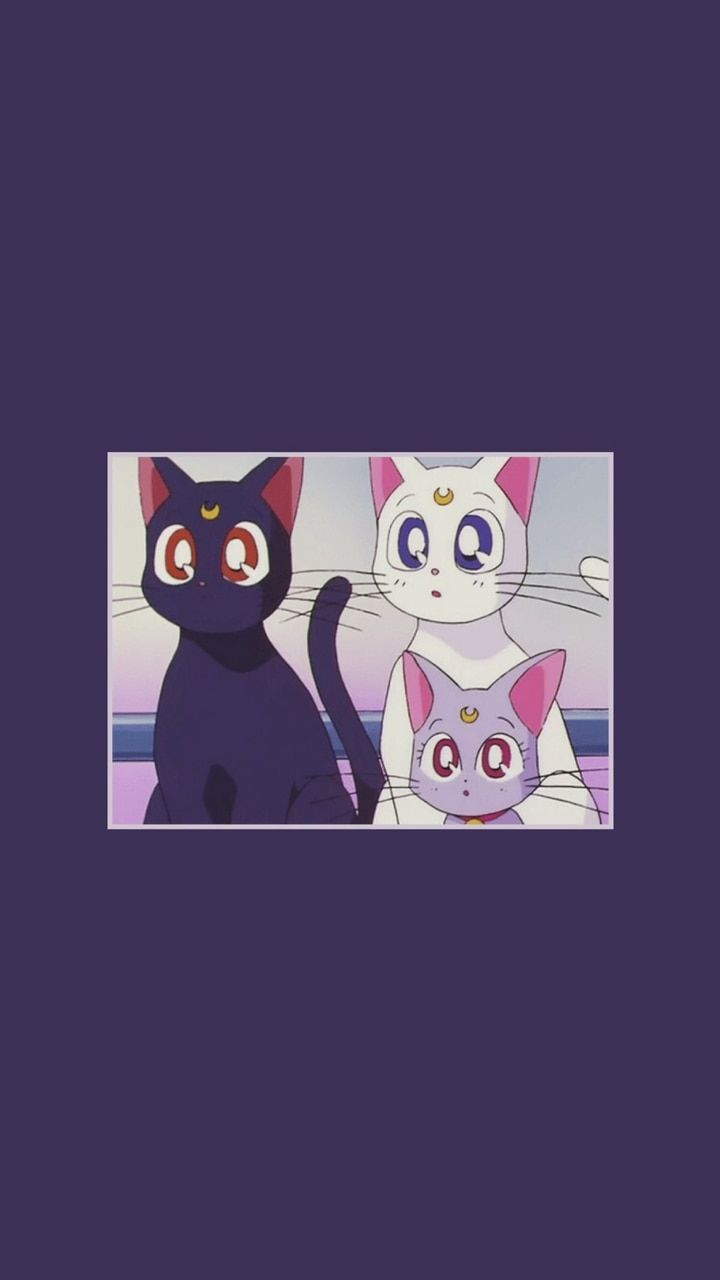 Cat, Wallpaper, And Purple Image Sailor Moon Kawaii
