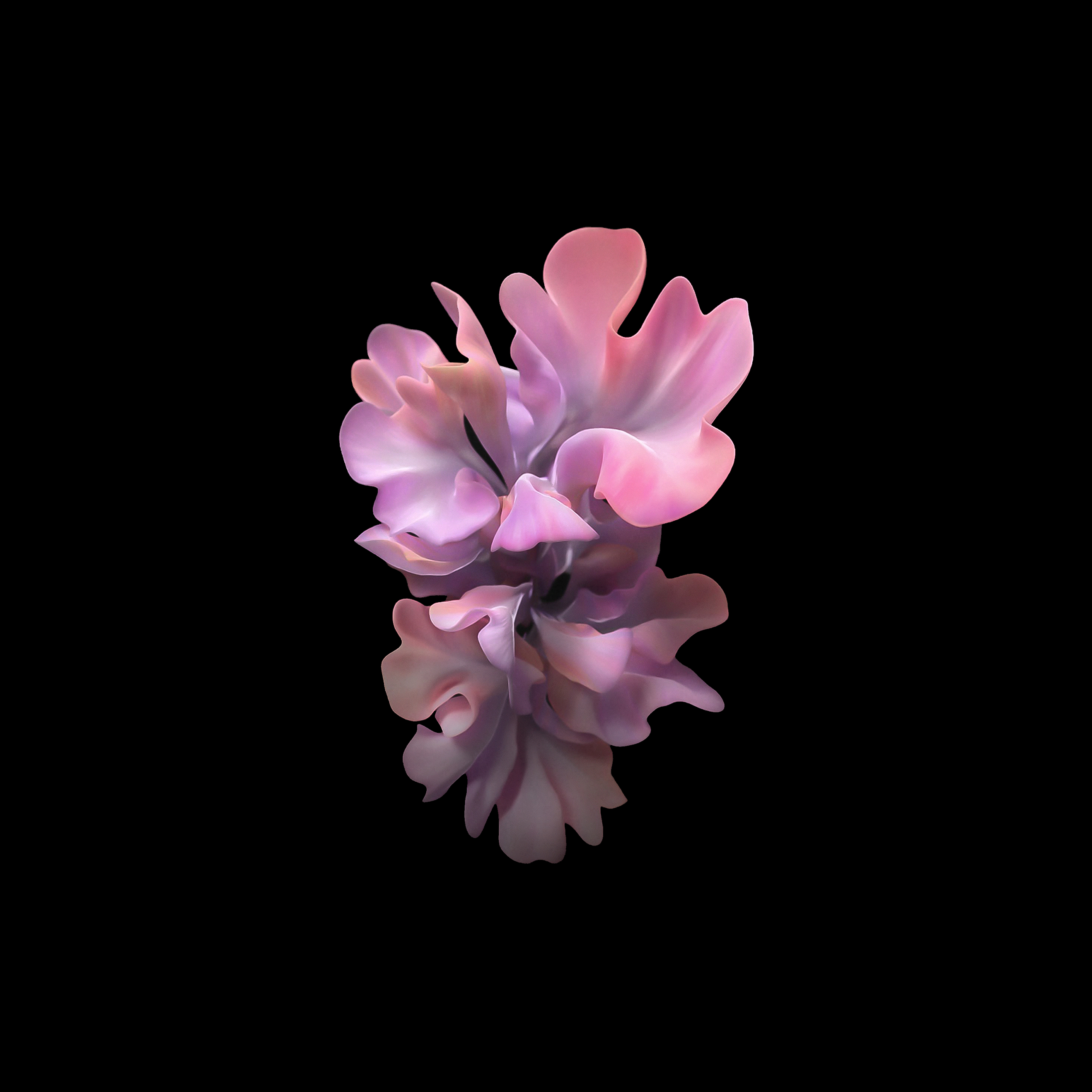 Download Galaxy Z Flip wallpaper and see your home screen 'bloom