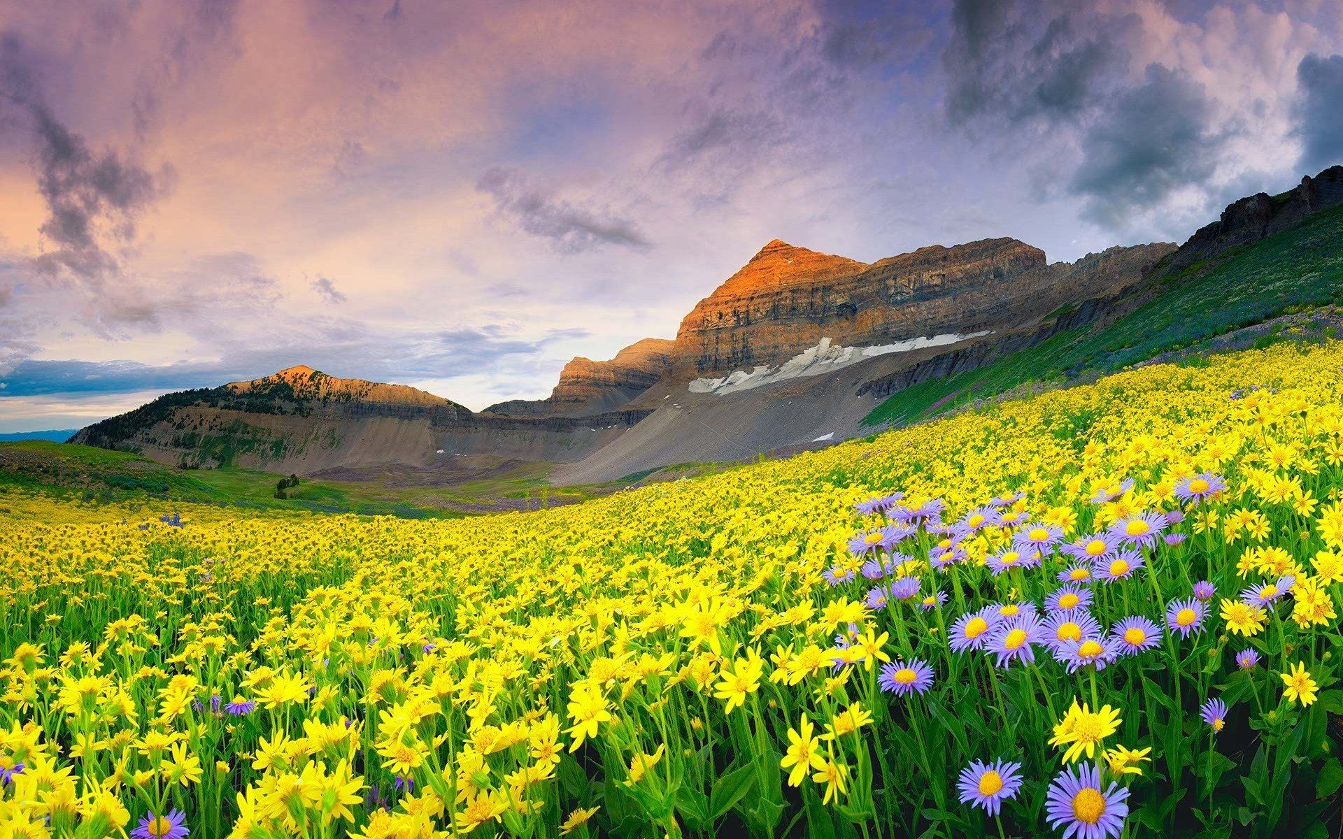 Beautiful Mountain Valley Of Flowers Wallpaper [1920x1200]