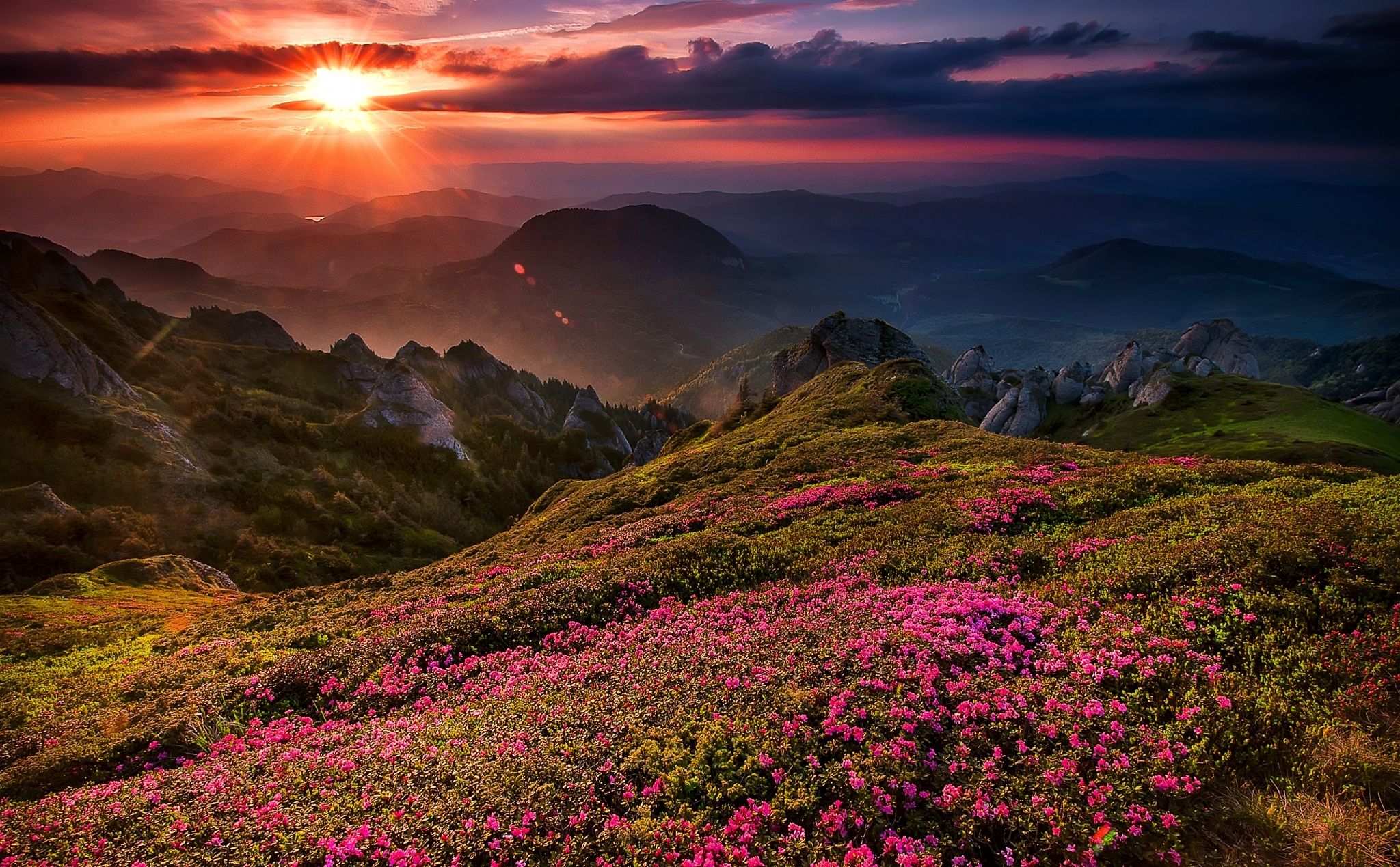 sunset, flowers, beautiful, mountains, sky, wildflowers, grass