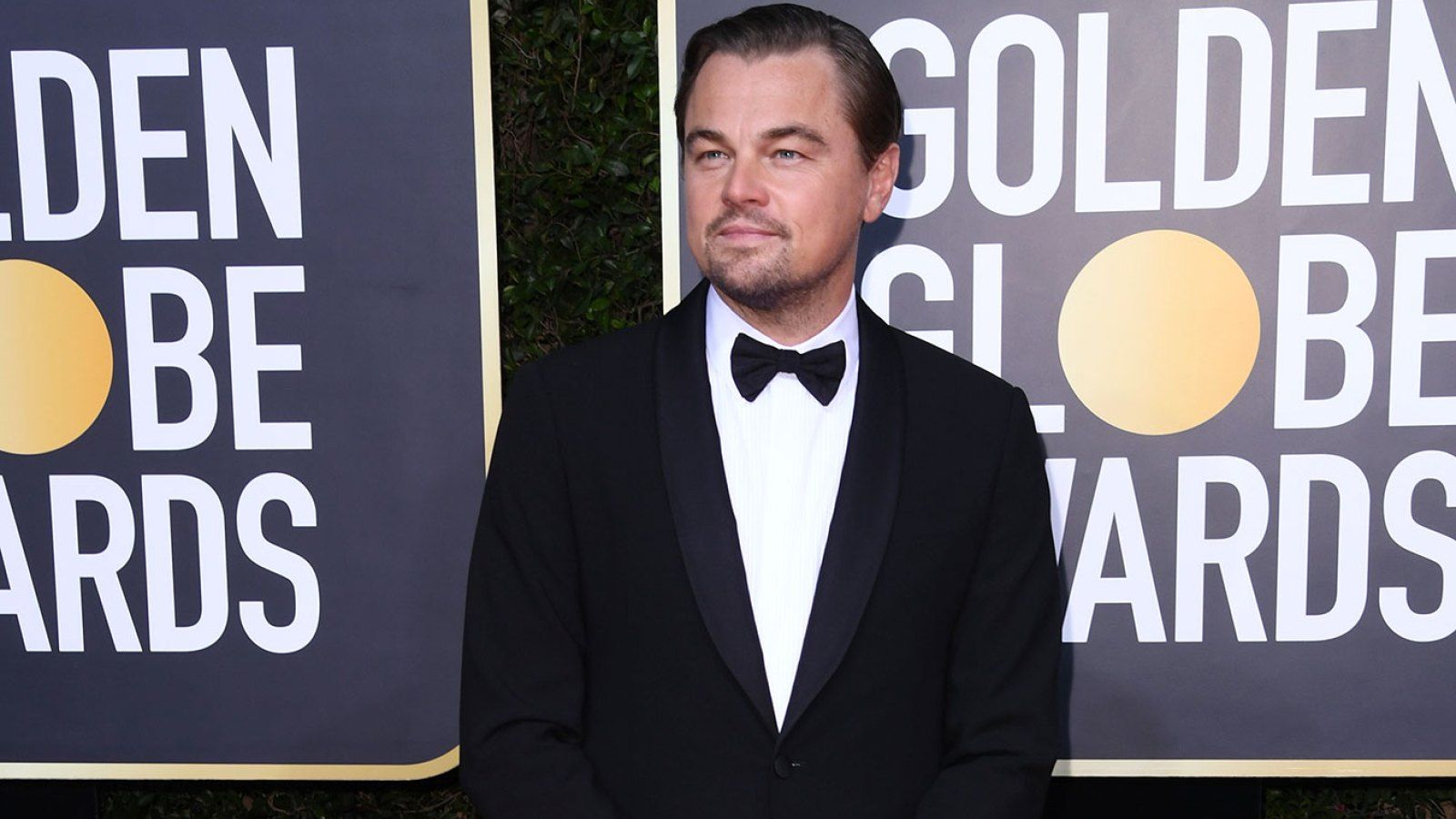 Leonardo DiCaprio Saves a Stranger From Drowning