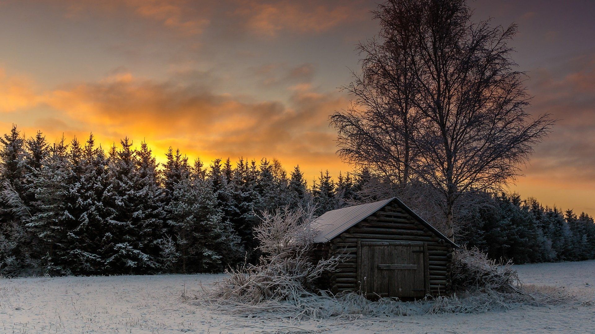 Winter Sunset HD Wallpaper