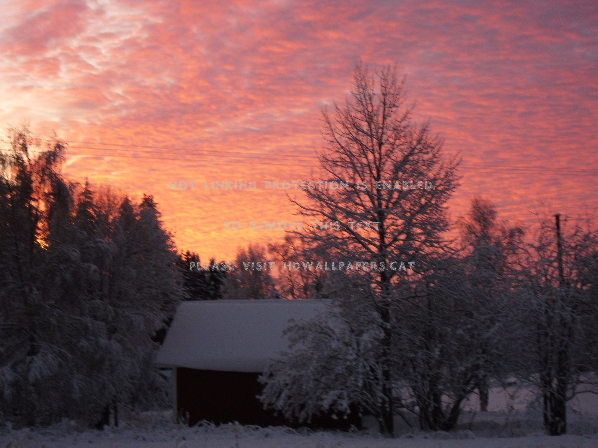 winter sunset new trees cabin snow nature