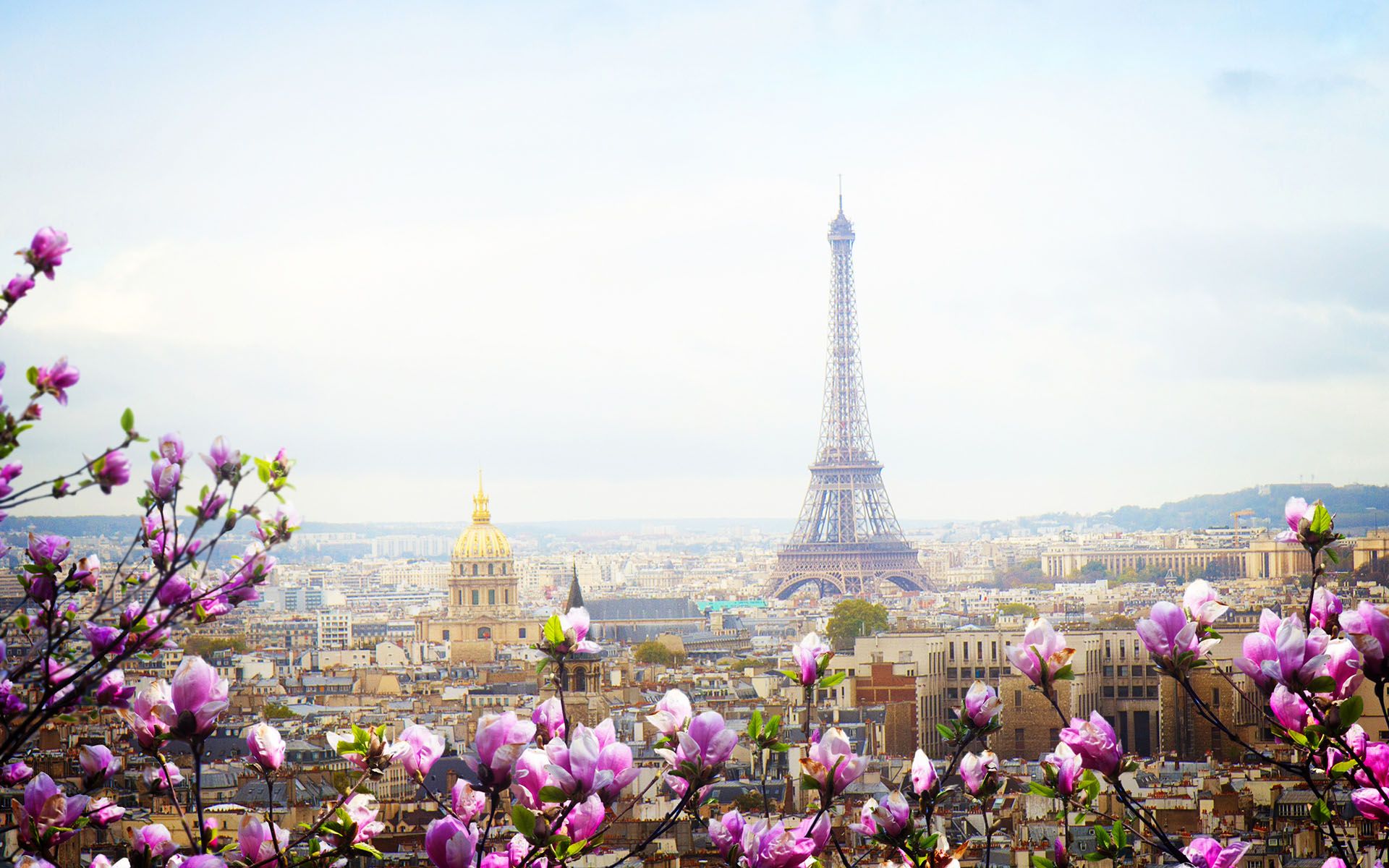Wallpaper download the city, paris, spring, europe, france