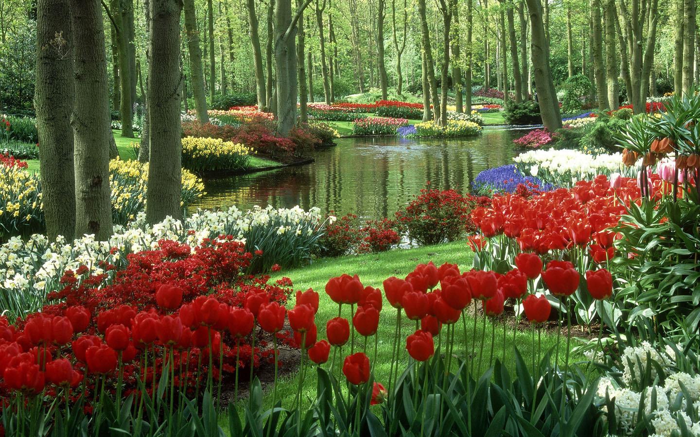 Free download Spring Flowers Wallpaper Android Apps on Google Play