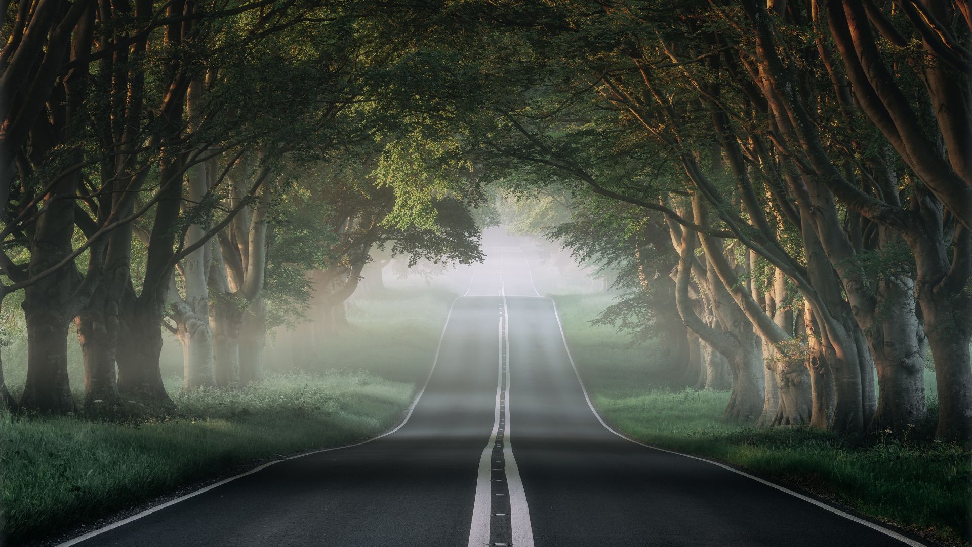 The Most Beautiful Road In The World Free HD Image