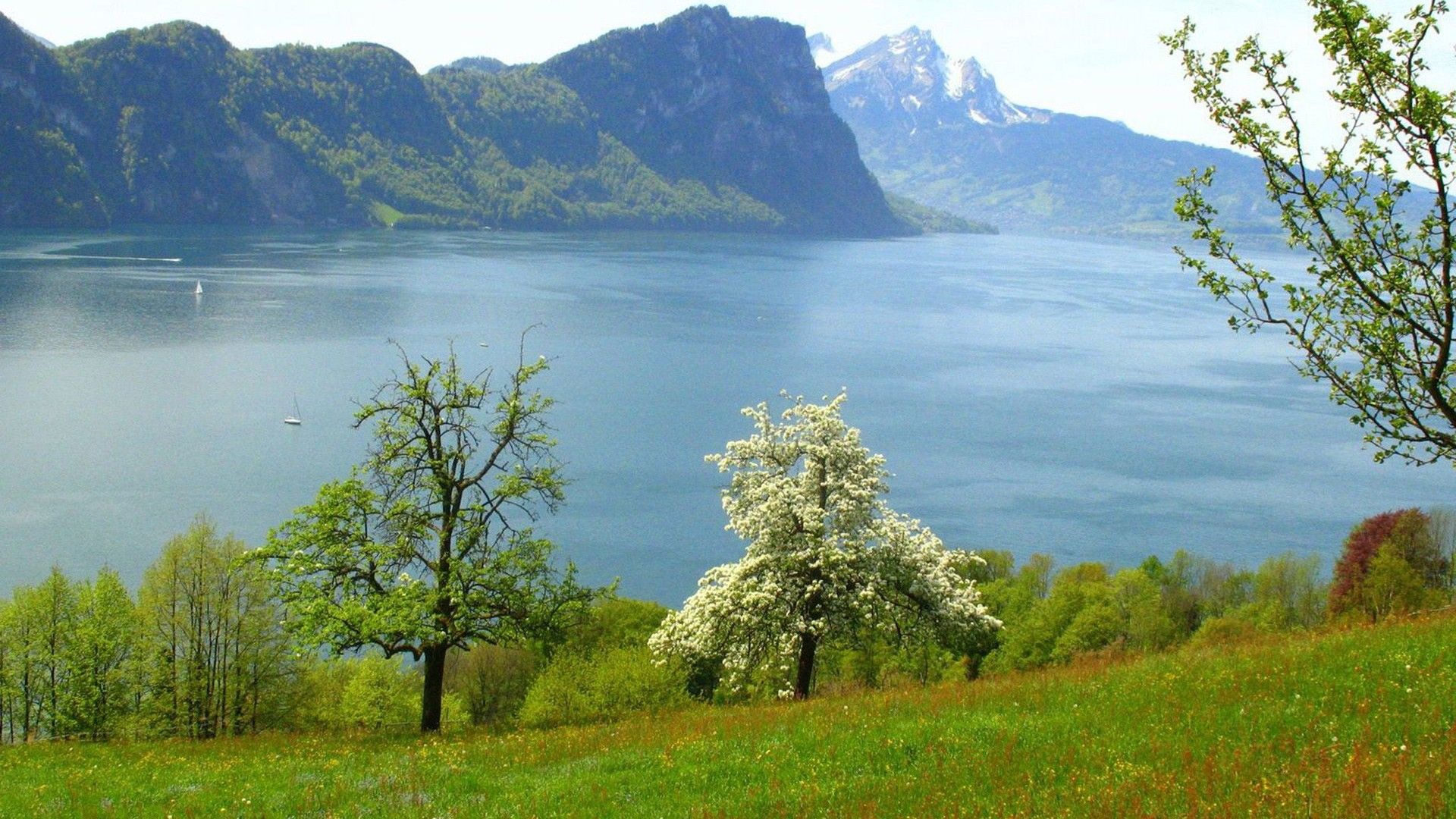 Spring Switzerland Europe Wallpaper 1920x1080