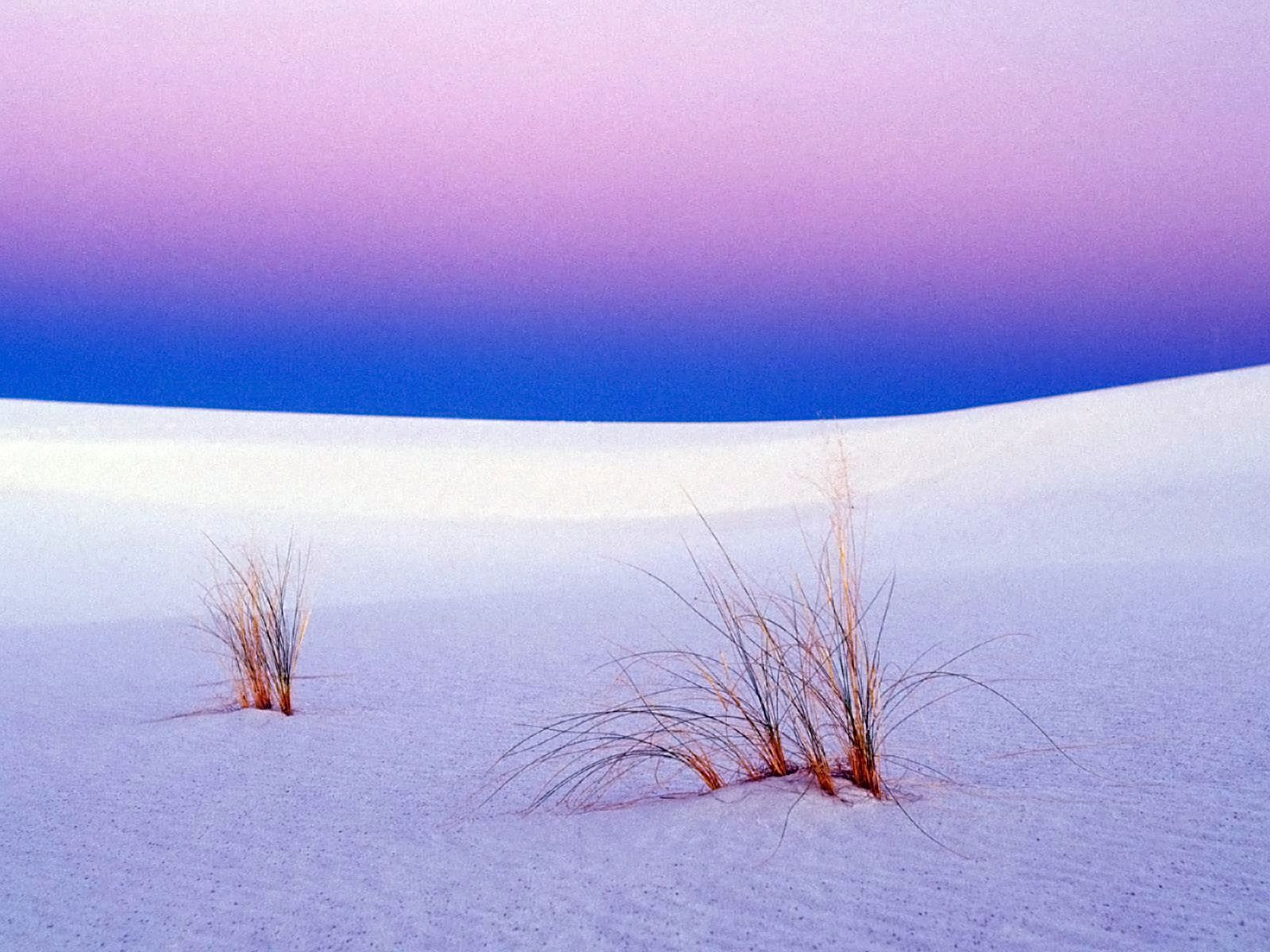 White Sands, New Mexico. They have moonlight walks in the park