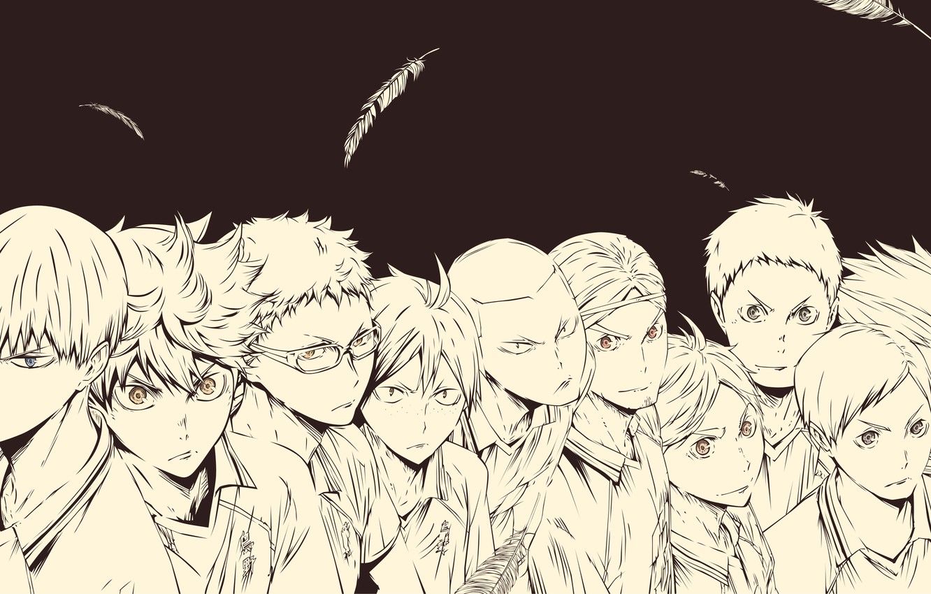 Wallpaper feathers, team, crows, guys, Volleyball, Haikyuu image