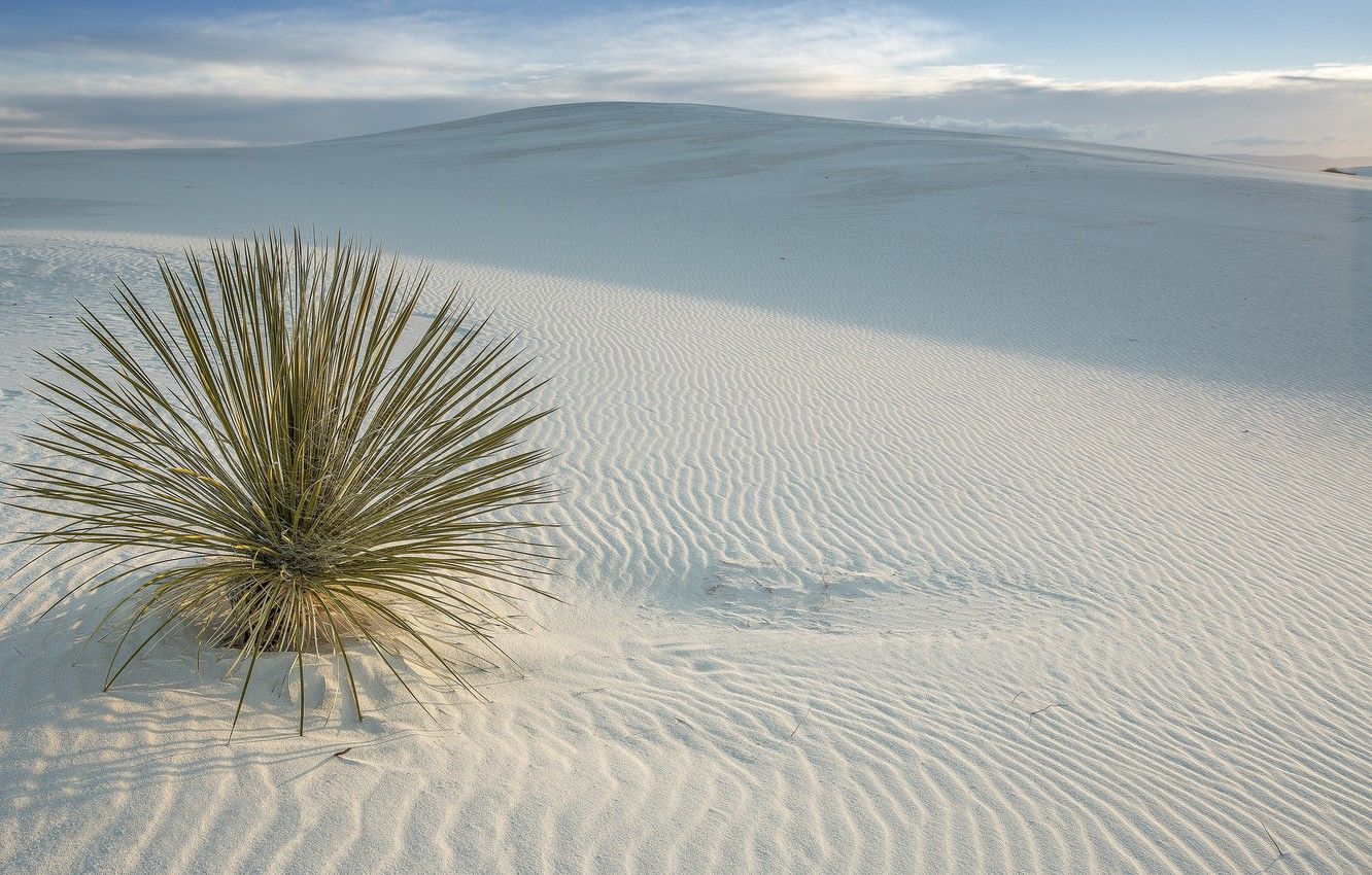 Wallpaper desert, USA, USA, New Mexico, San Miguel, White Sands