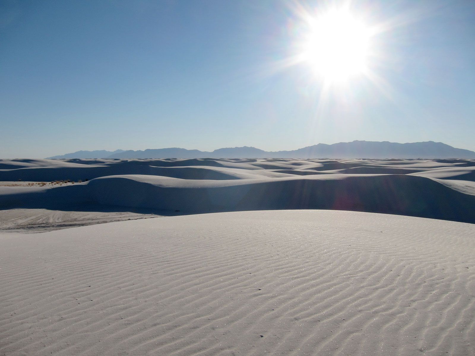 Visitor's Guide to White Sands National Monument in New Mexico