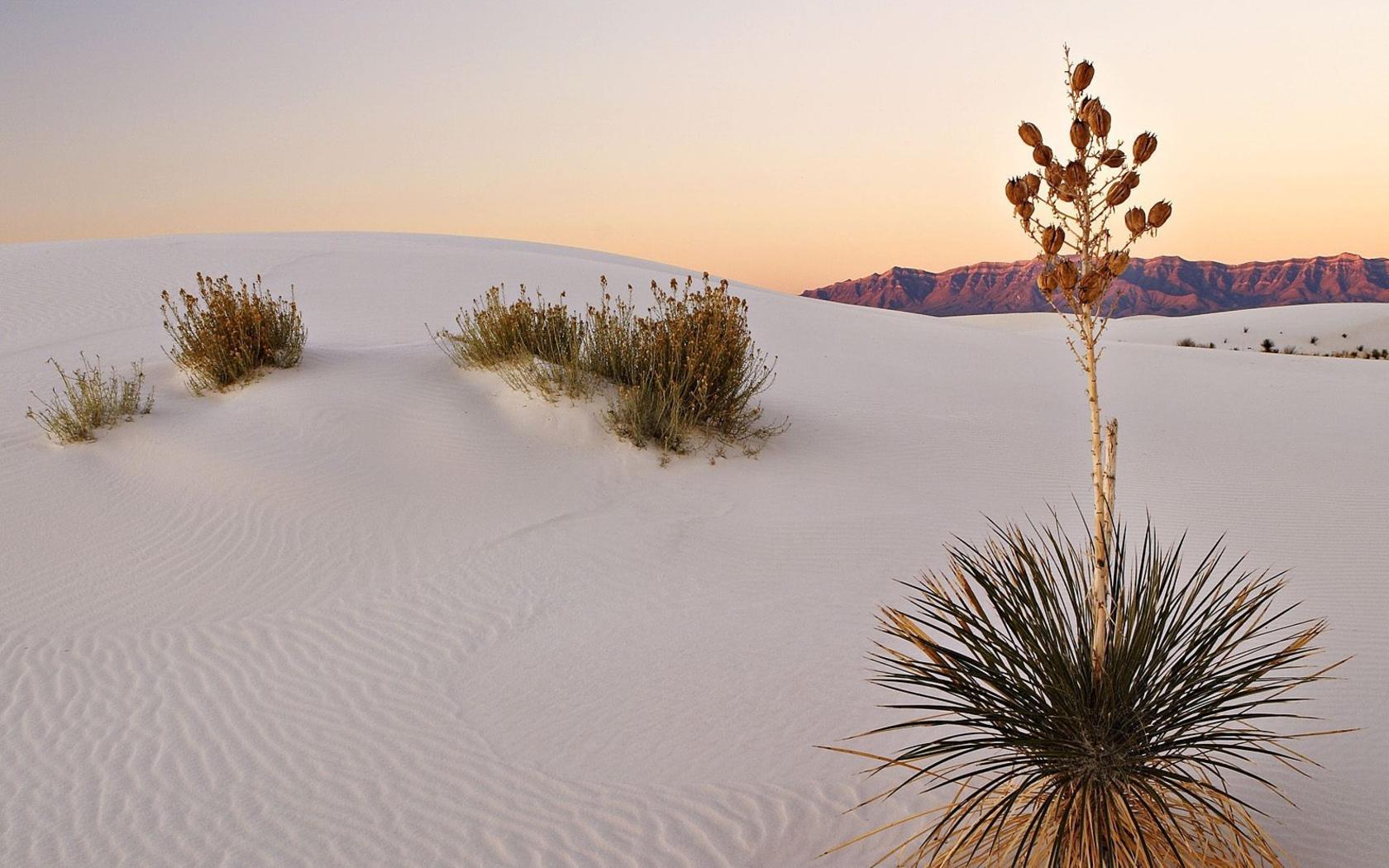 White Sands New Mexico