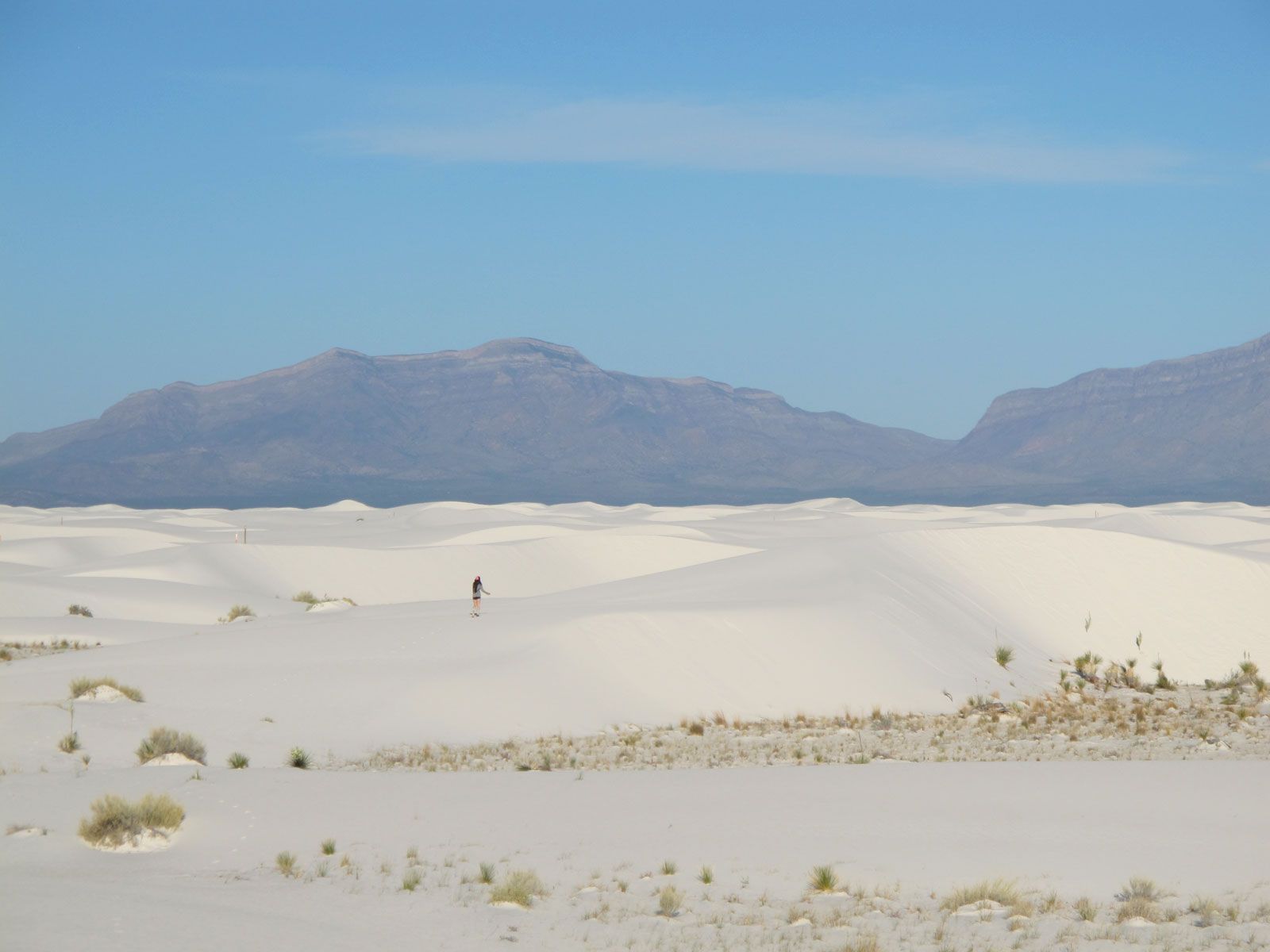 Visitor's Guide to White Sands National Monument in New Mexico