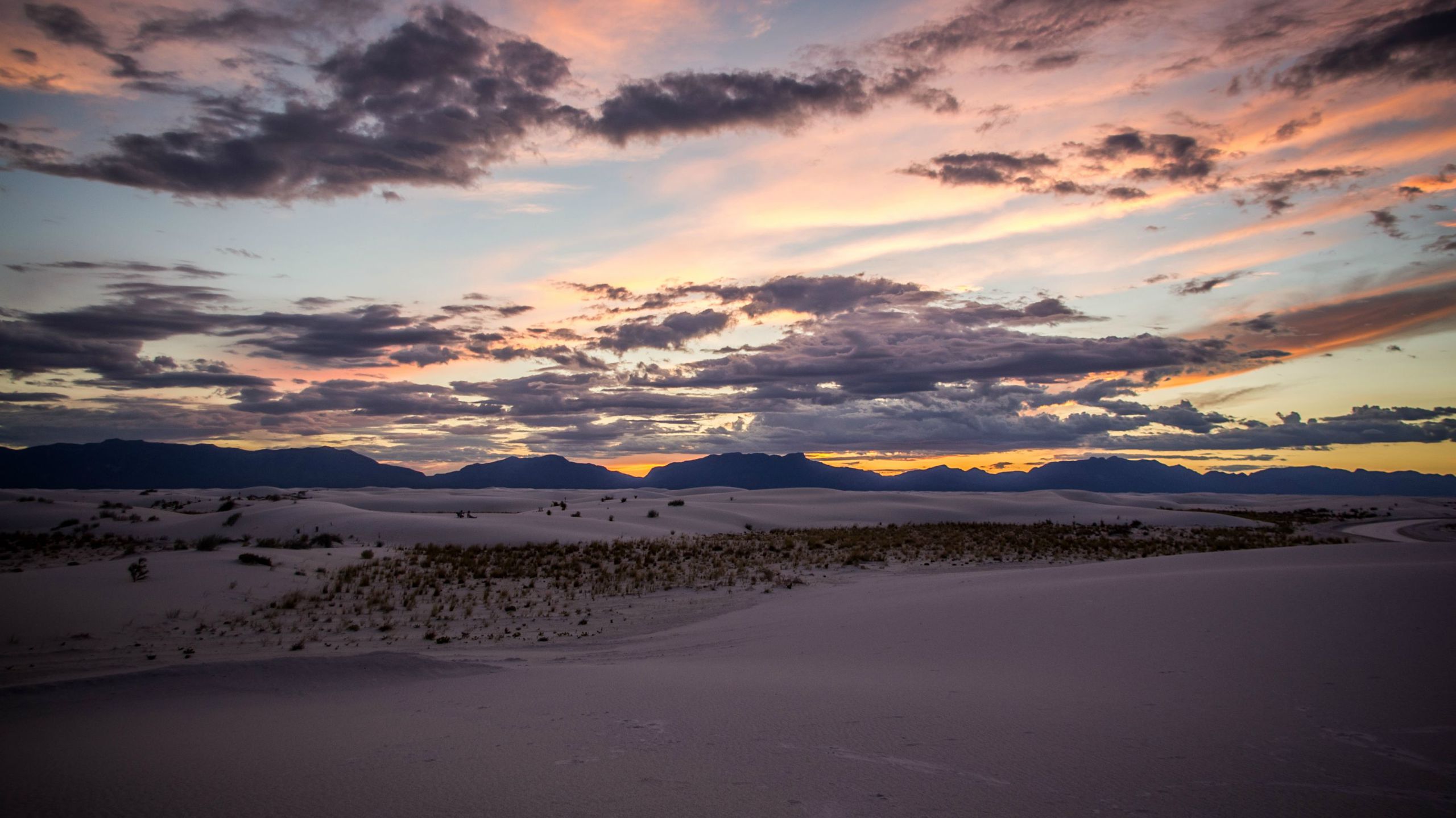 White Sands National Monument, New Mexico WQHD Wallpaper