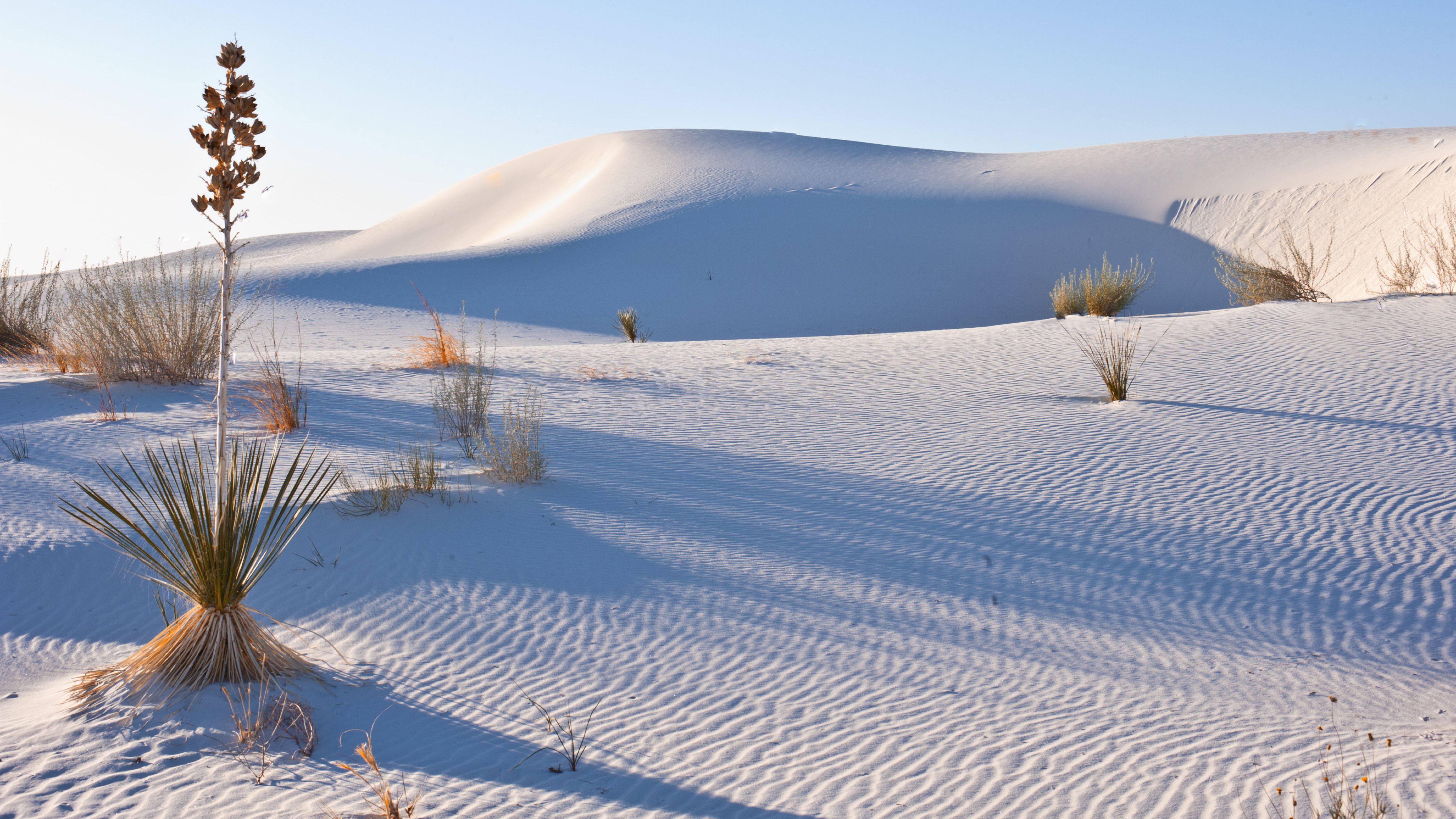 What Created The White Sands In New Mexico at Kristine Duguay blog