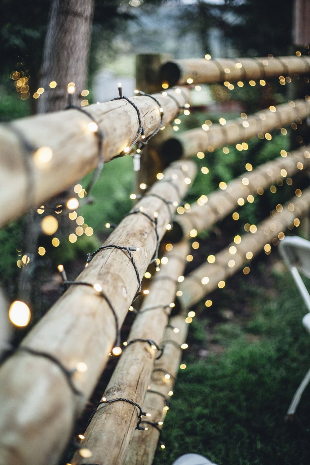 brown bamboo fence with string lights photo