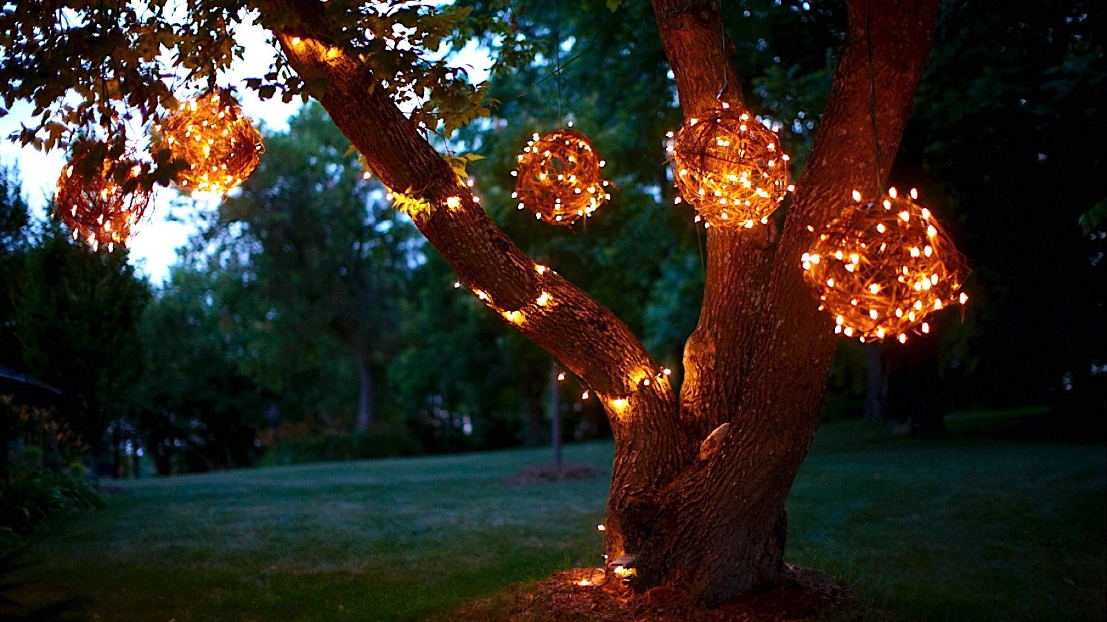 DIY Grapevine lighting balls .What a BRIGHT idea !