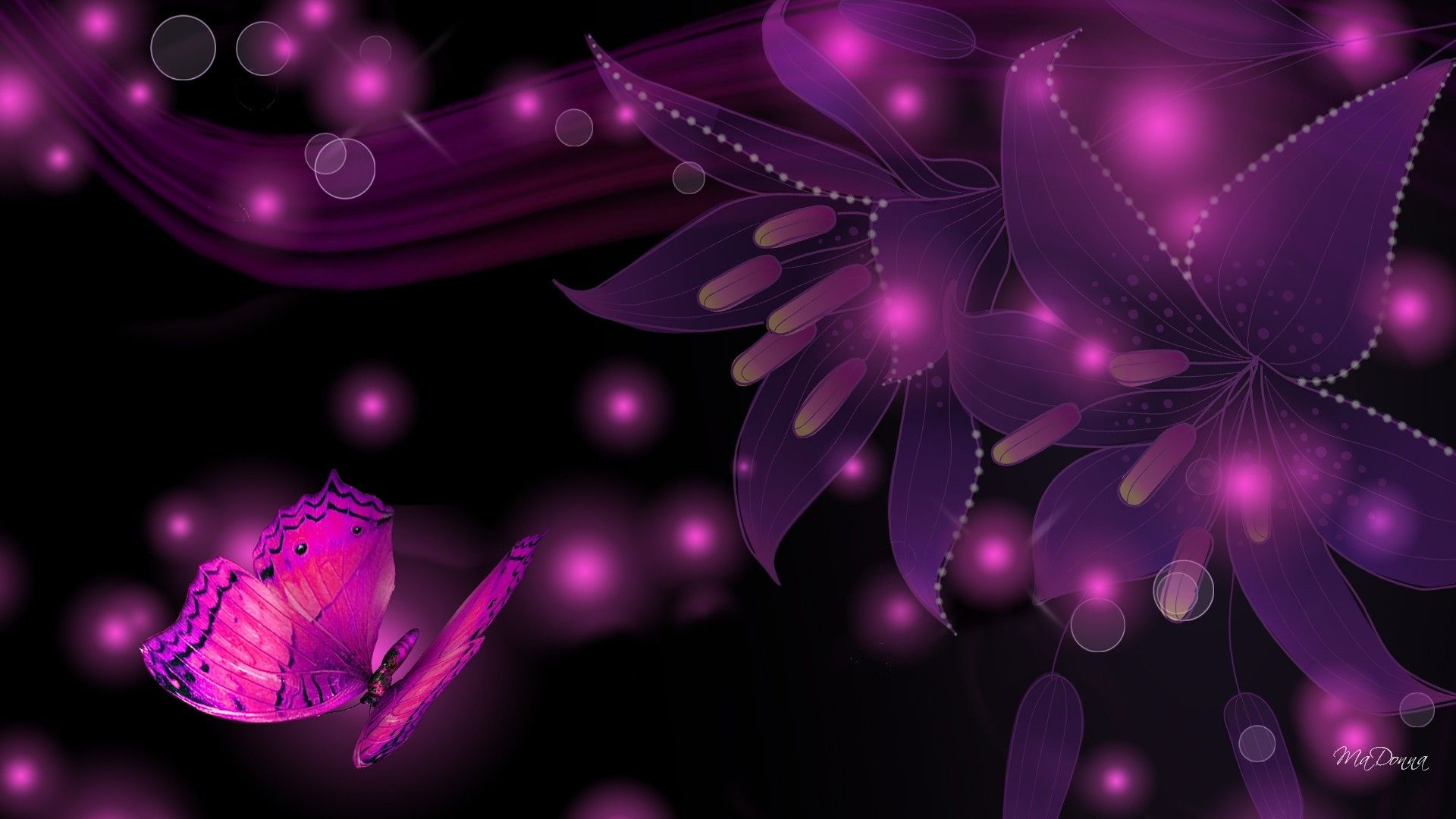 purple and black butterfly wallpapers