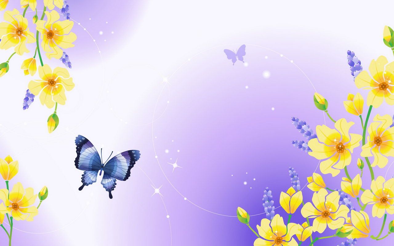 COLORFUL BUTTERFLY WALLPAPERS FREE TO DOWNLOAD