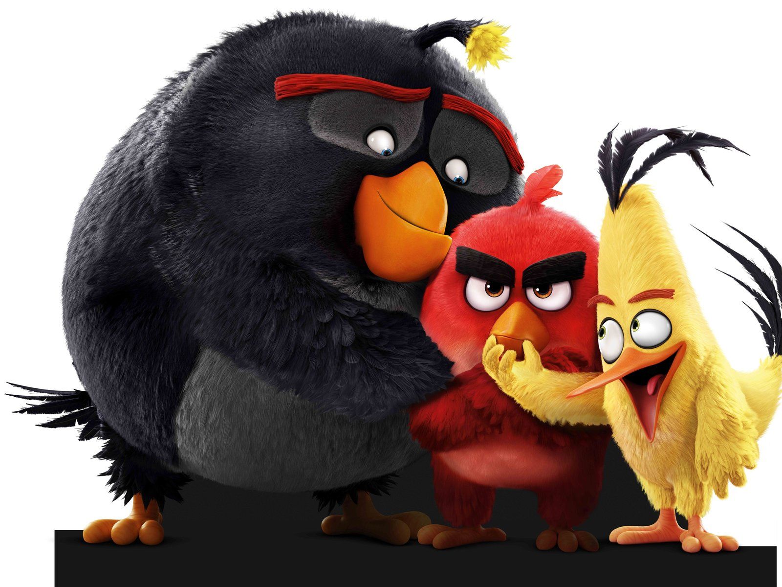 The Angry Birds 8k 1600x1200 Resolution HD 4k Wallpaper