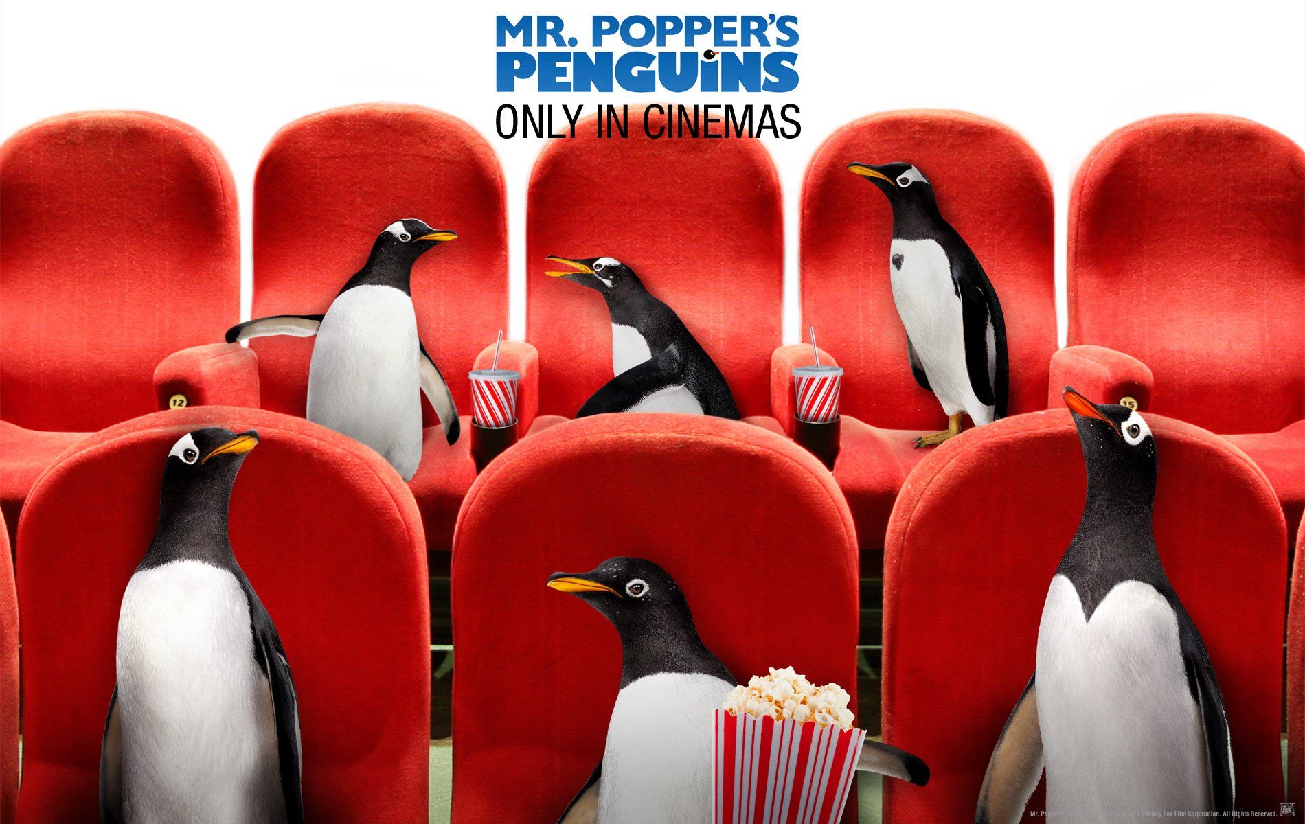 Mr. Popper's Penguins Wallpaper and Background Imagex1200