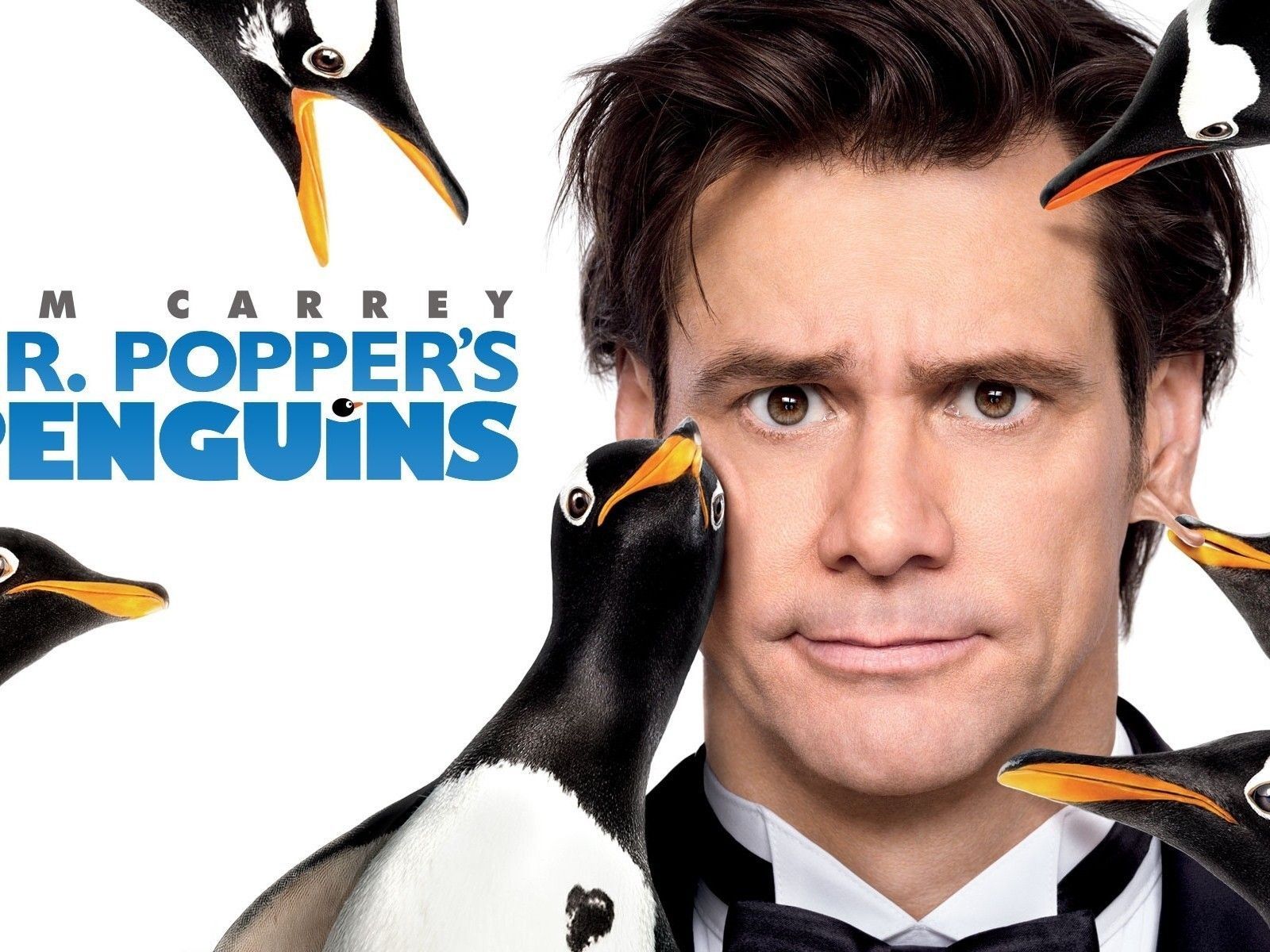 jim carey penguins. Mr Poppers Penguins Jim Carrey. HD
