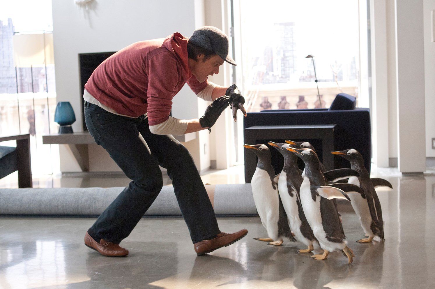 First official photo for Mr. Popper's Penguins