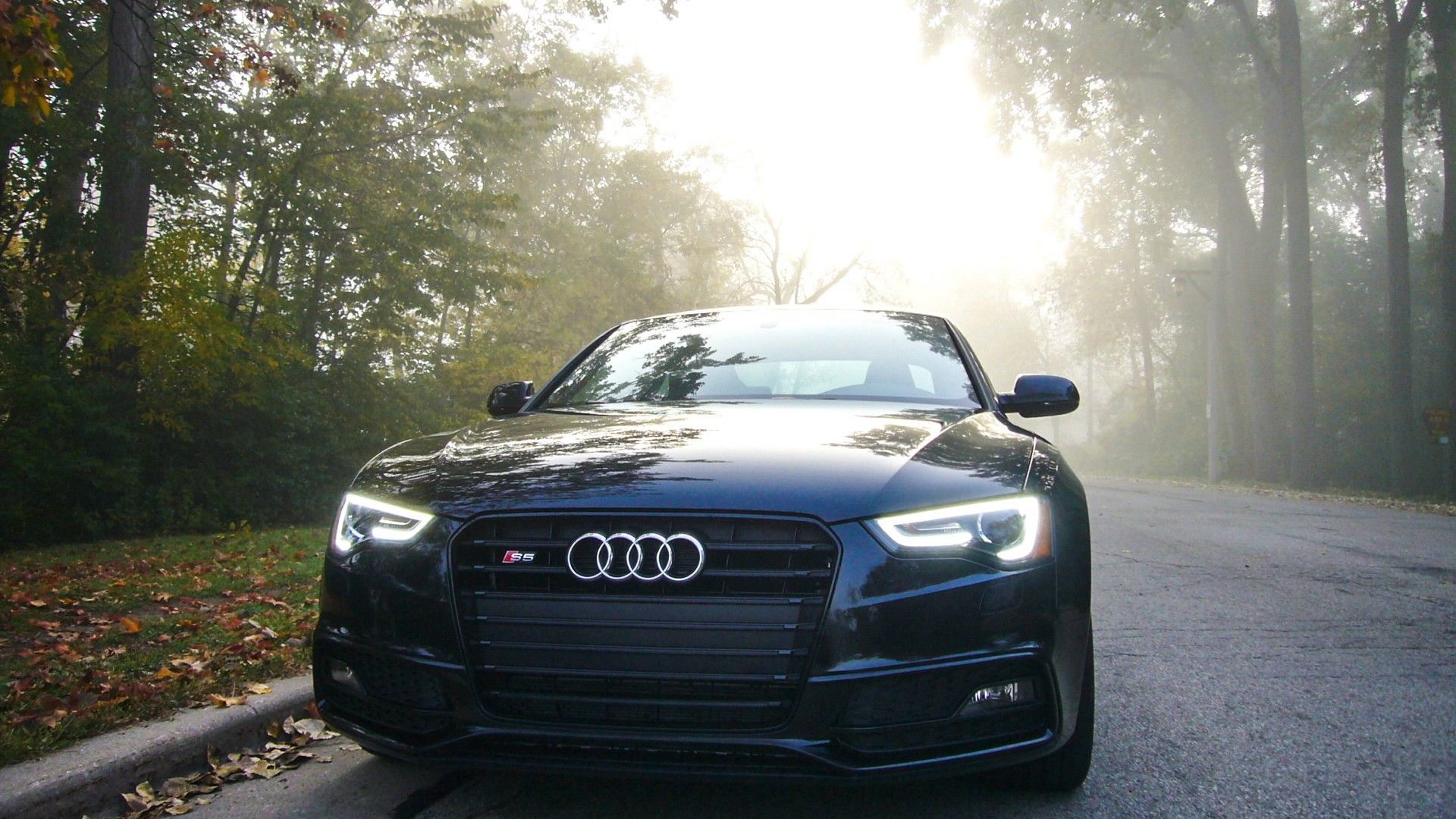 Audi S5 Wallpaper