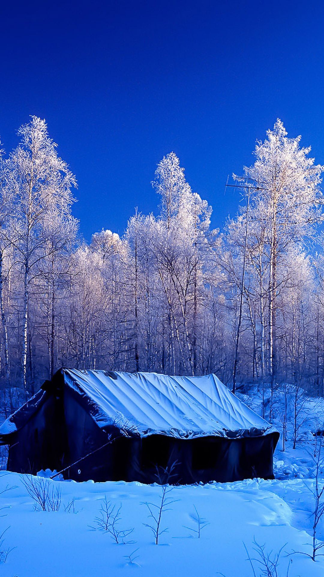 Snow Forest Tent Winter Nature Android Wallpaper Wallpaper Nature Wallpaper & Background Download