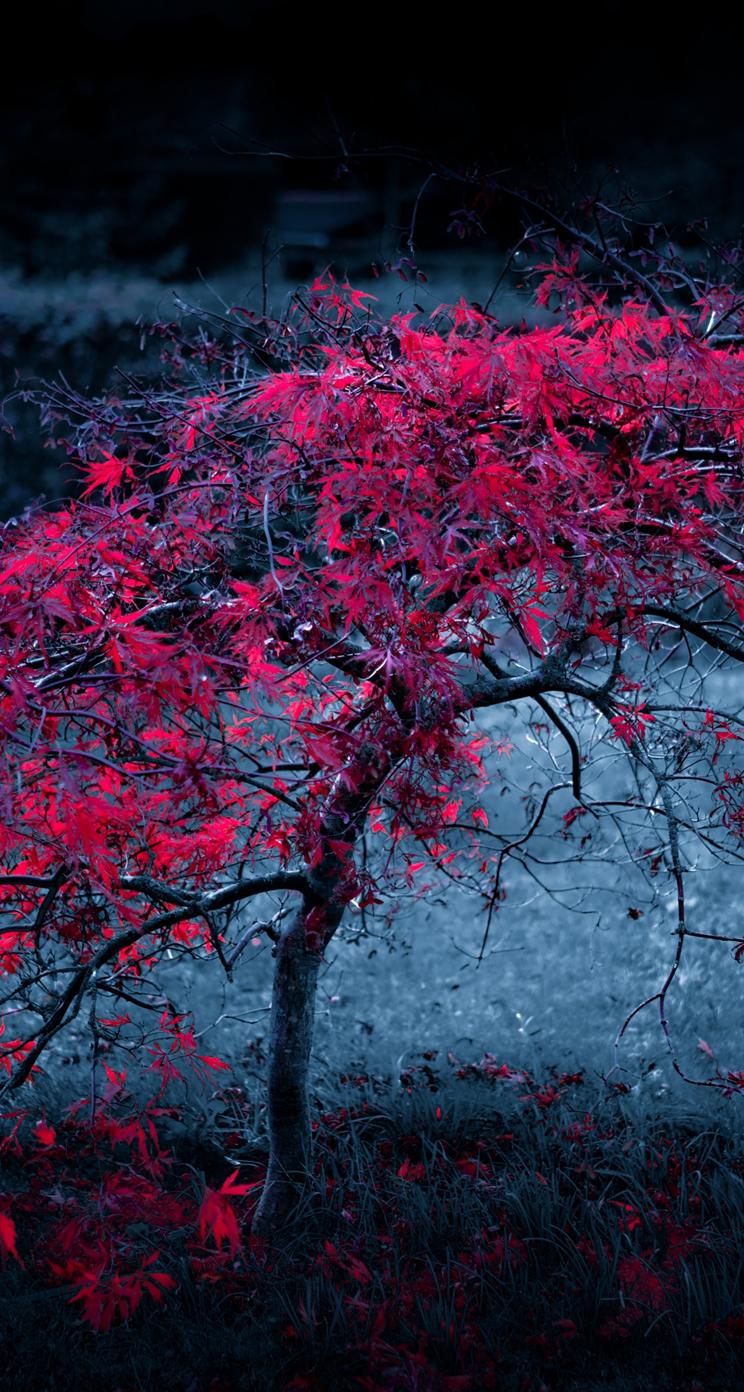 Red Tree Leaves Fog Light Purple Autumn iPhone 2