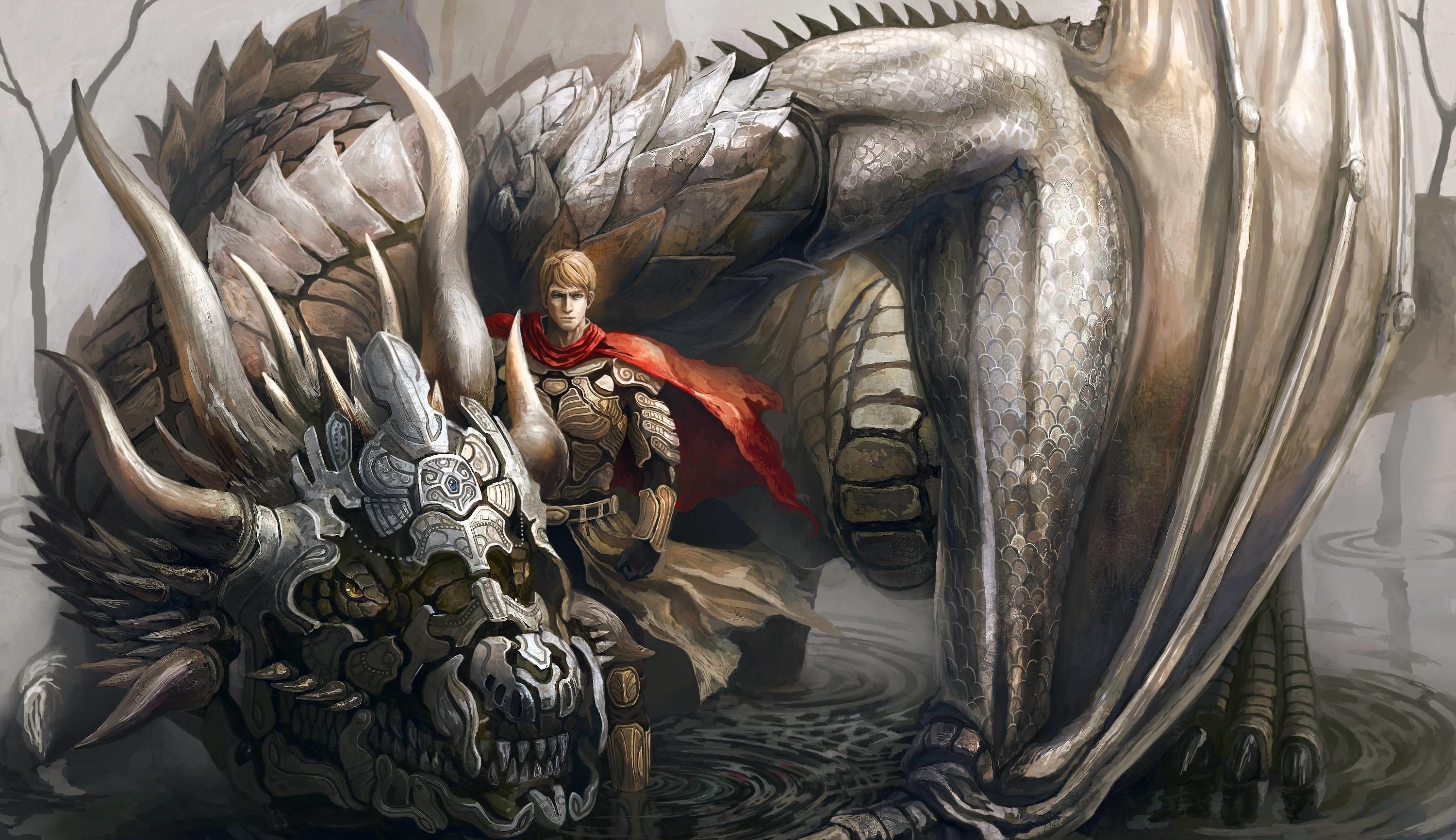 Wallpaper Dragon Warrior
