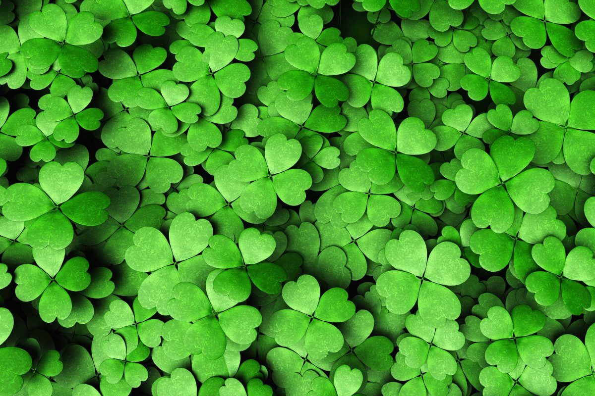 St Patricks Day Wallpapers for Kids