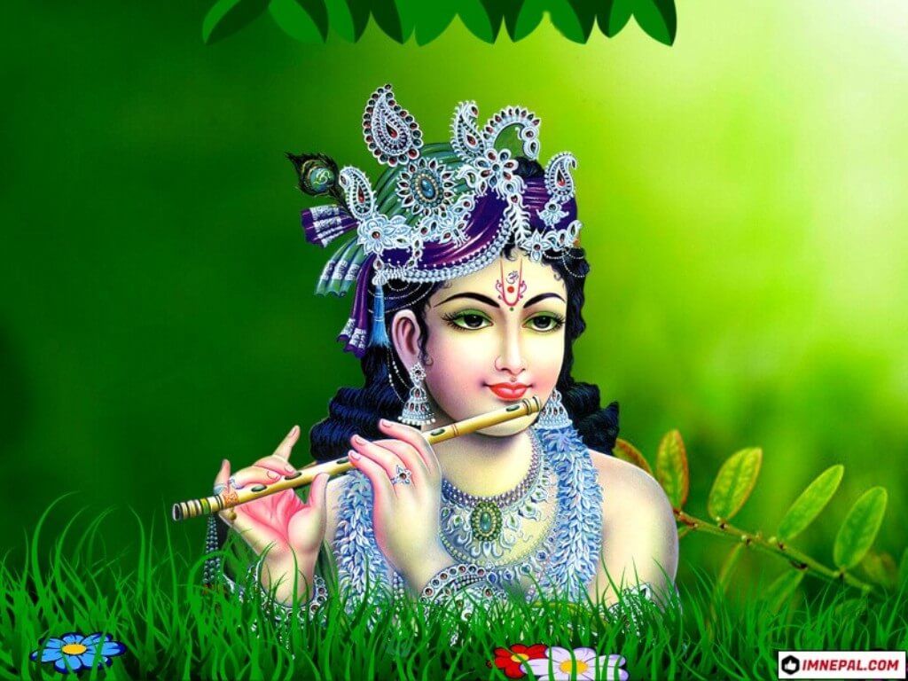 Lord Krishna Image HD Wallpaper With Facts To Download Free