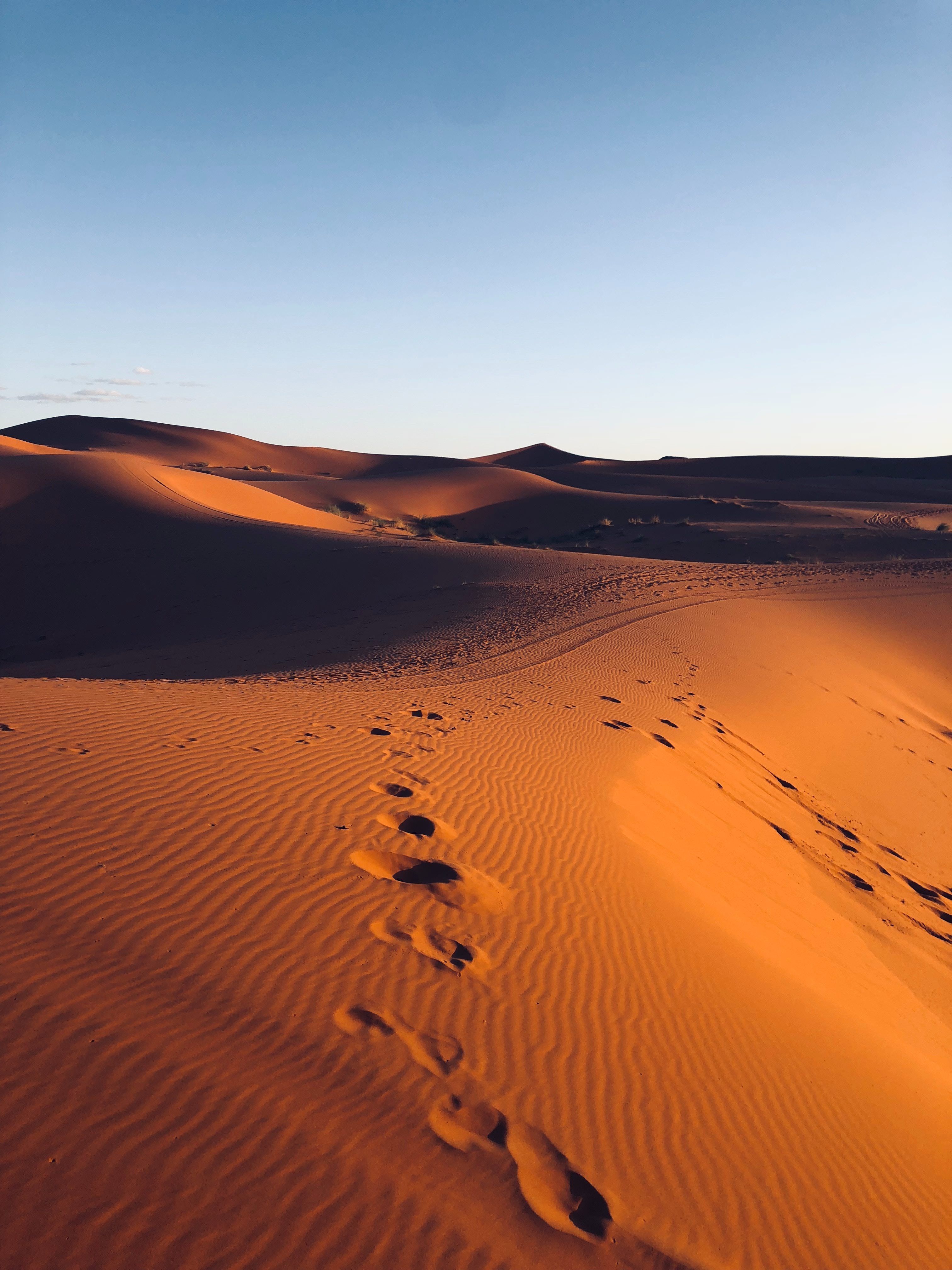 Download 12 Beautiful Desert Wallpaper For iPhone XS, XS Max