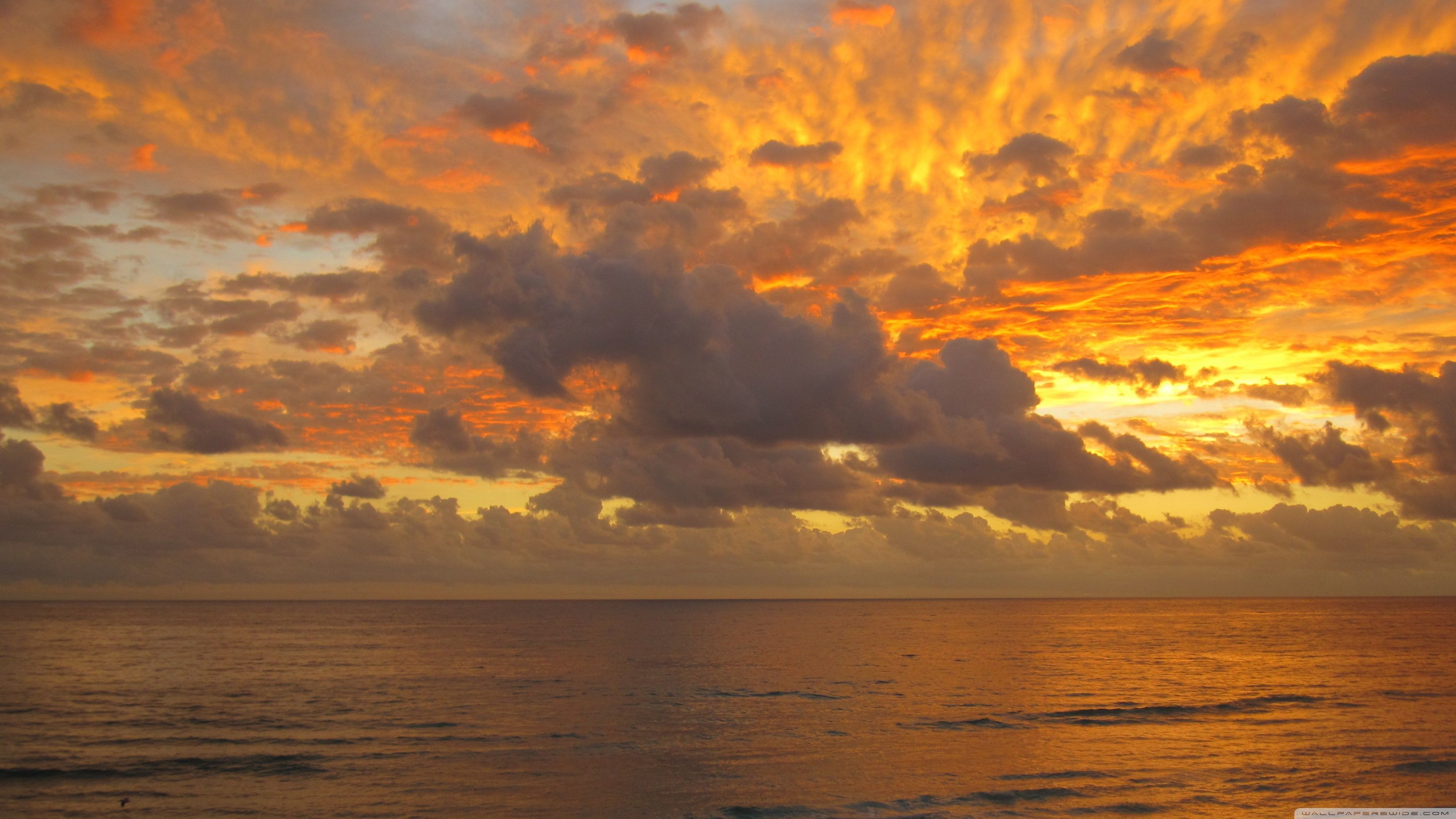 Golden Sunset Clouds Ultra HD Desktop Background Wallpaper