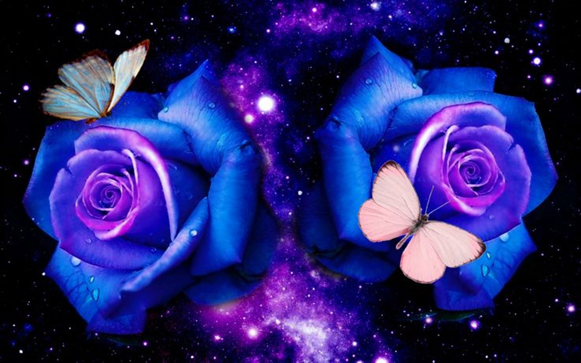 Butterfly, Blue Roses Deborah, Butterflies Wallpaper
