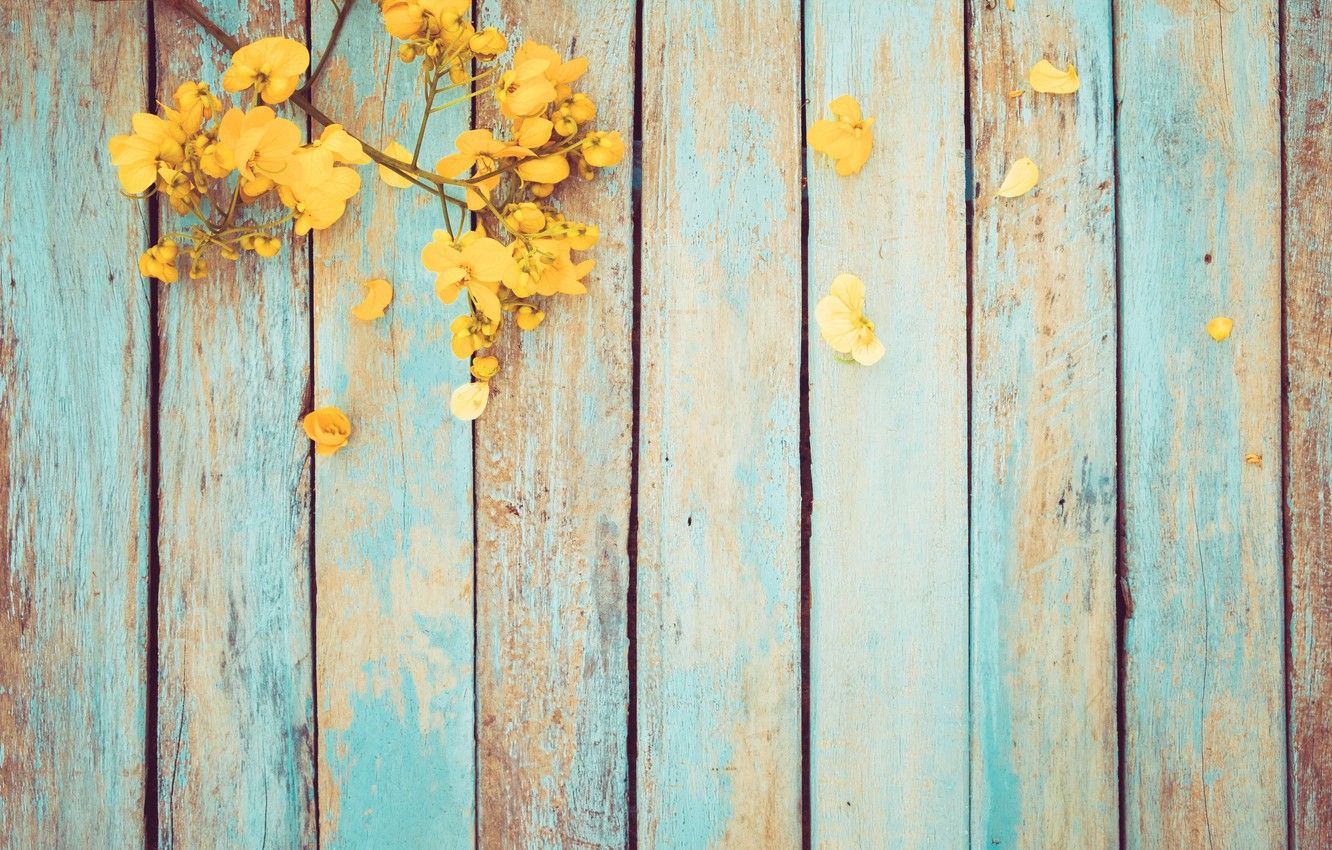 Photo Wallpaper Flowers, Spring, Yellow, Vintage, Yellow