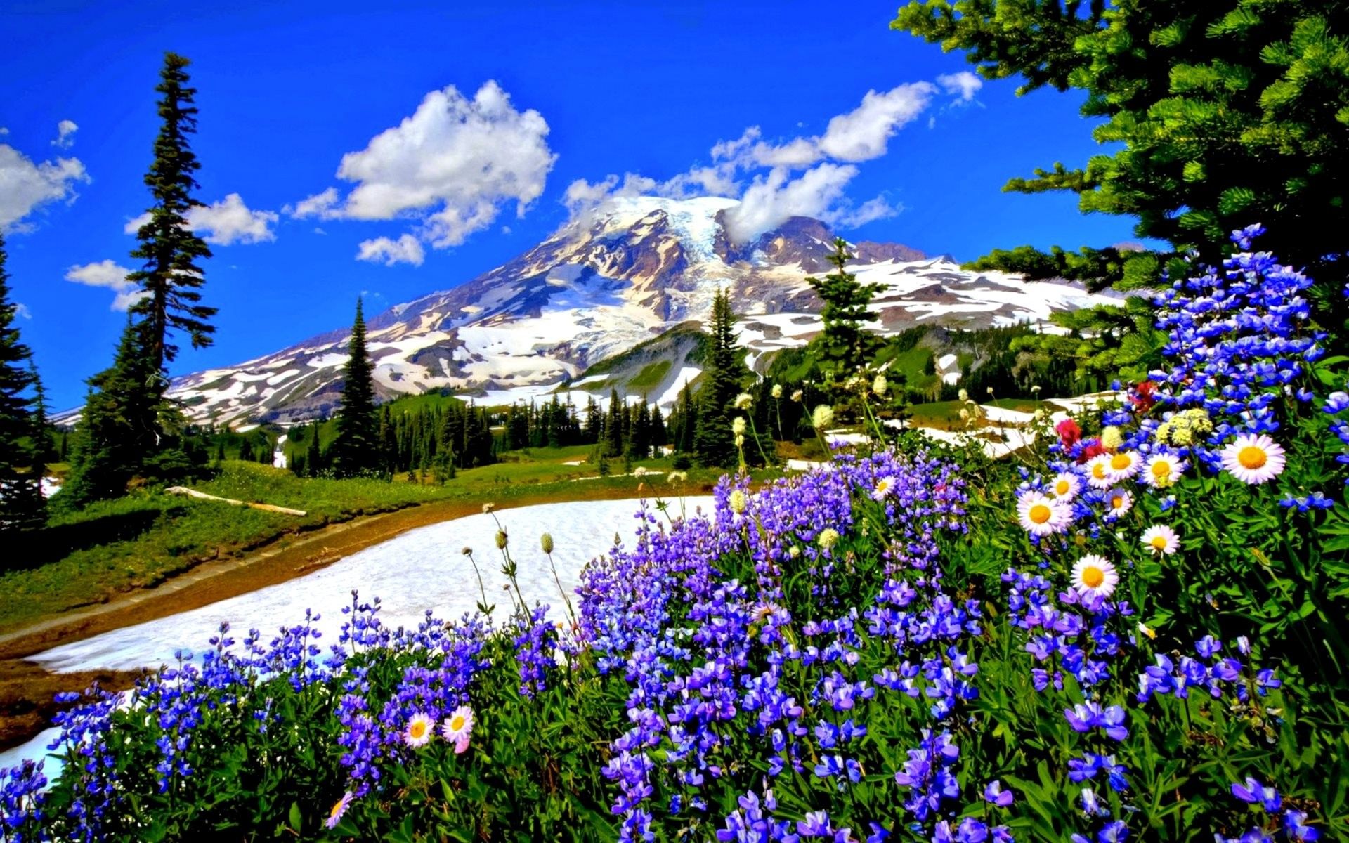 Spring in the Mountains Wallpaper