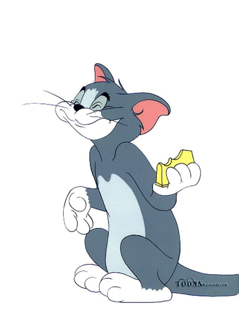 TV Show Tom And Jerry (768x1024) Wallpaper