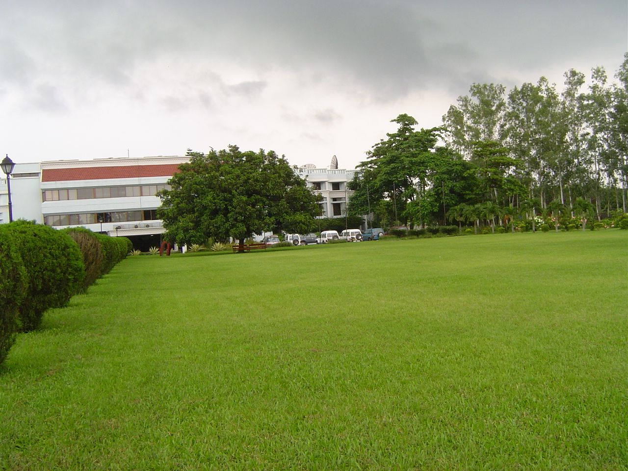 Green Garden HD Wallpaper Garden Wallpaper