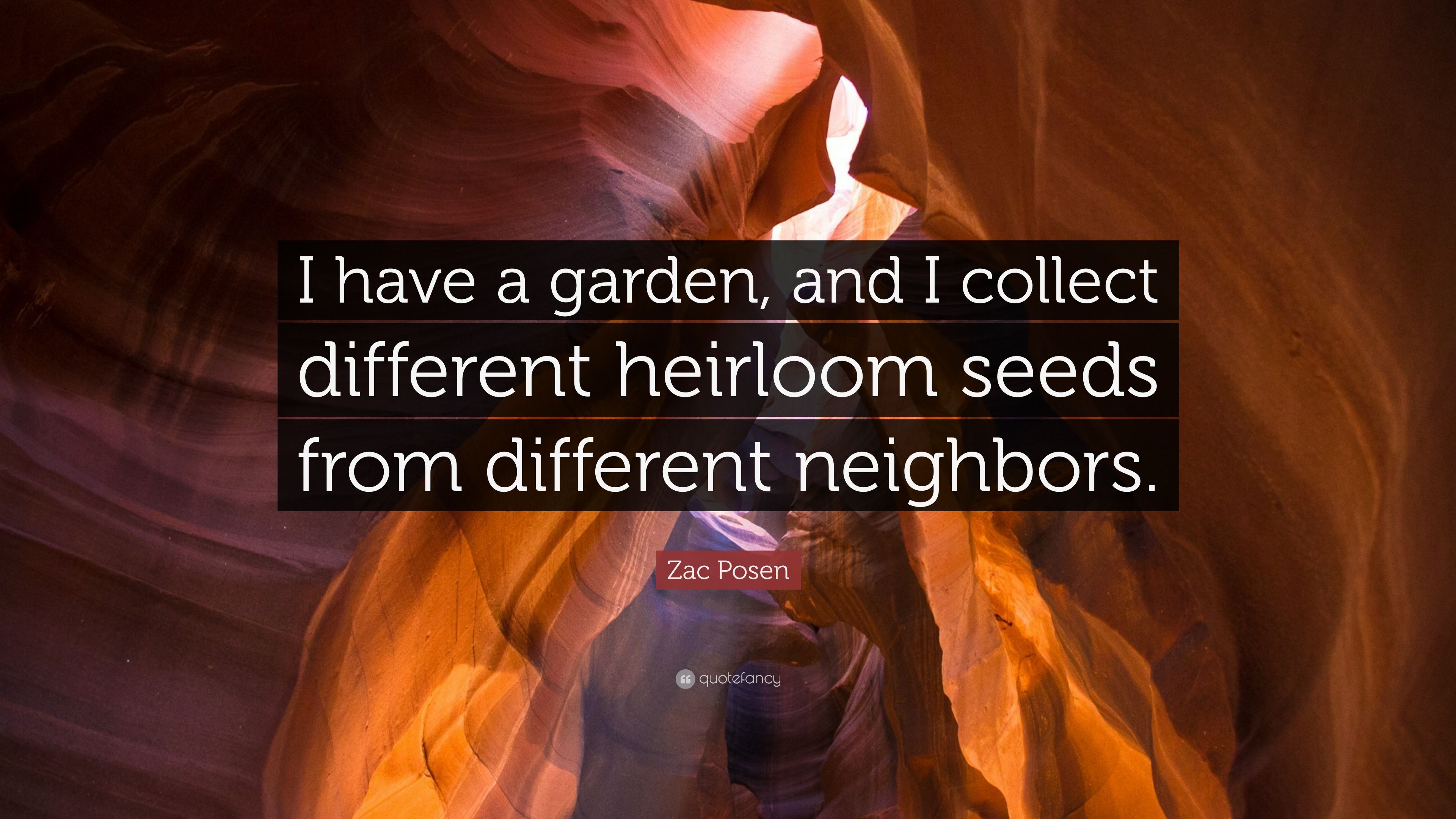 Zac Posen Quote: “I have a garden, and I collect different